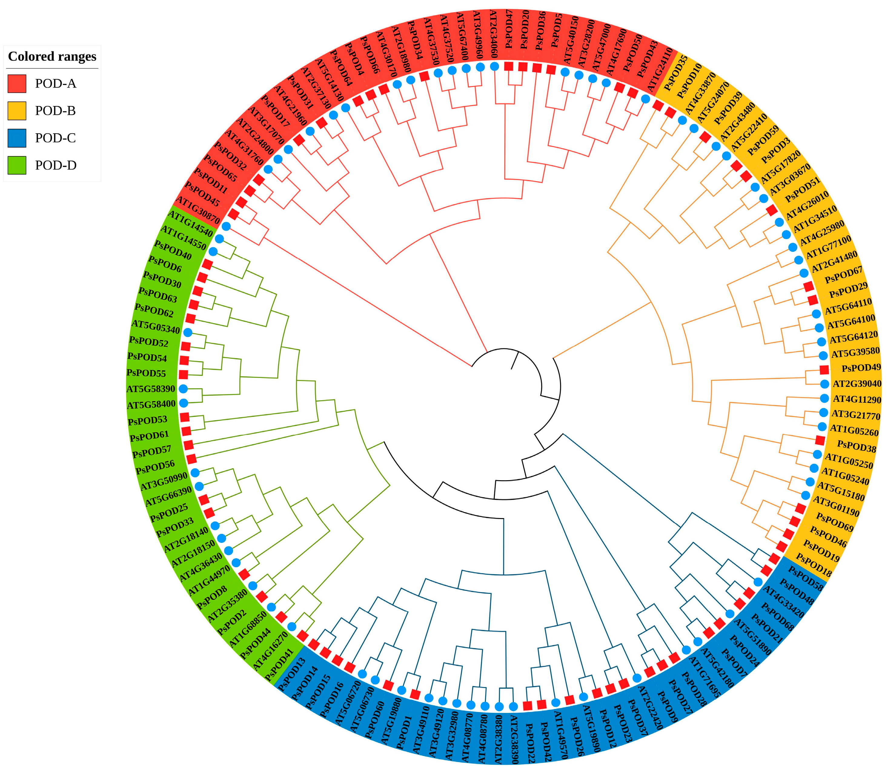 Antioxidants 14 00602 g001
