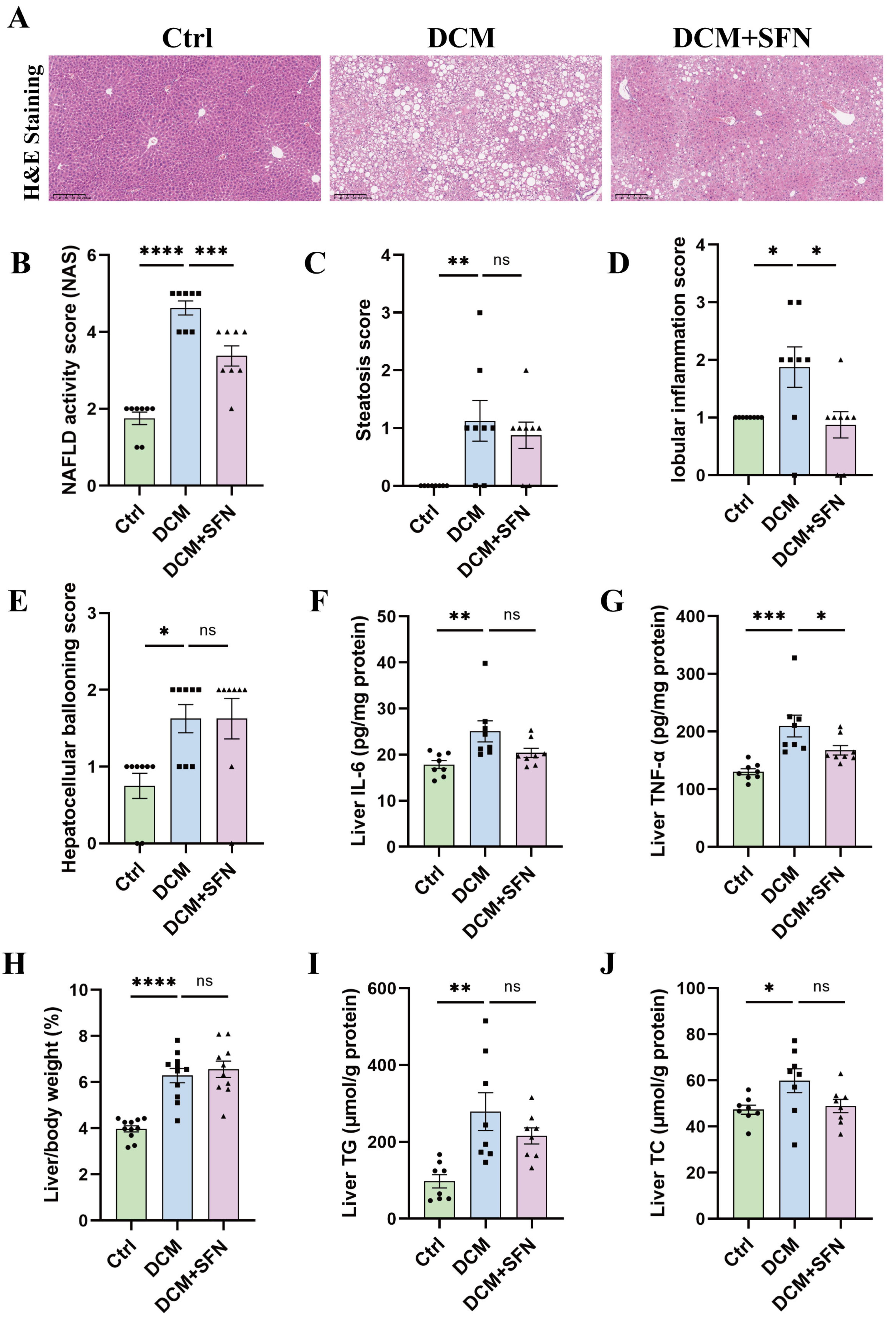 Antioxidants 14 00603 g002