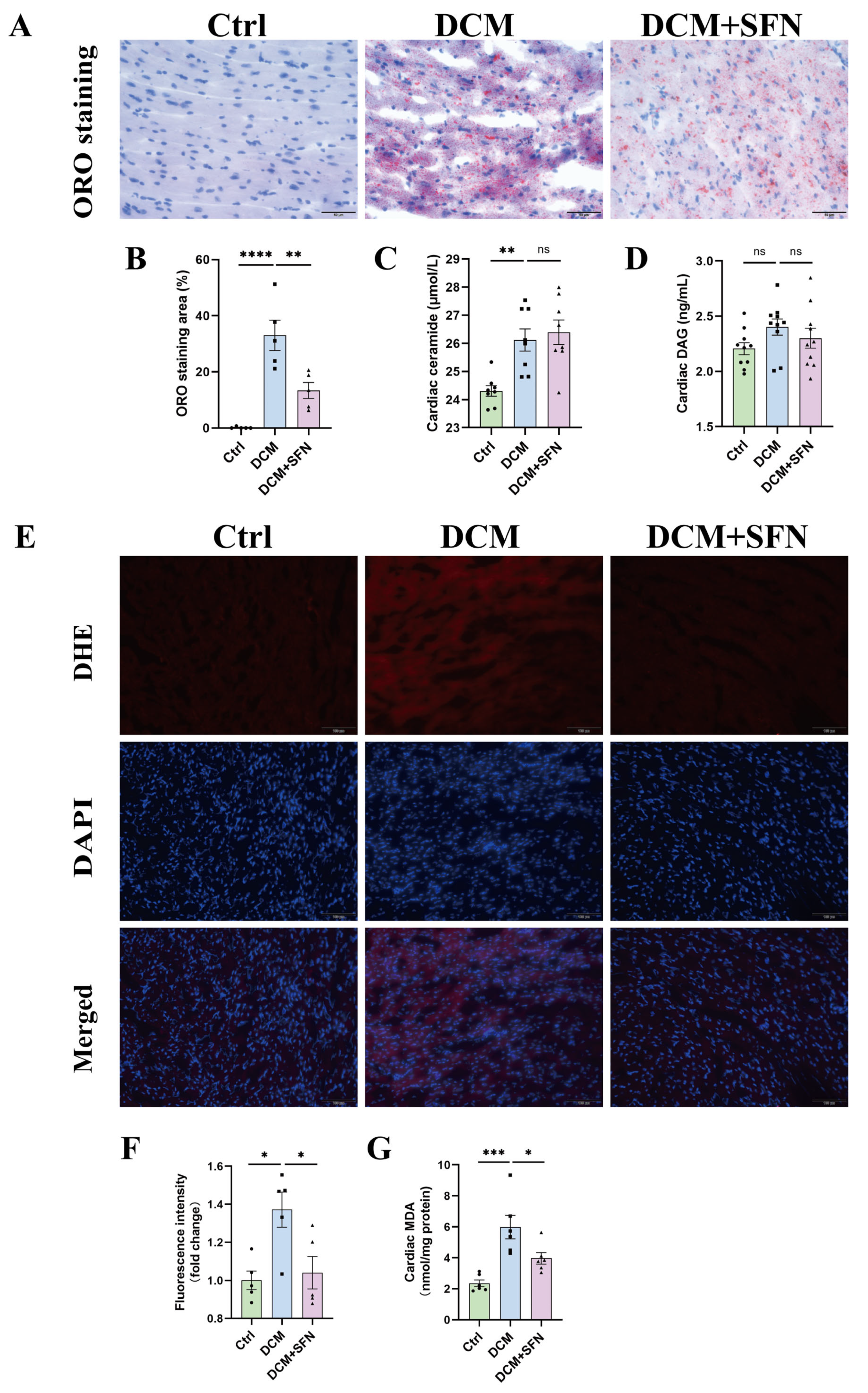 Antioxidants 14 00603 g005