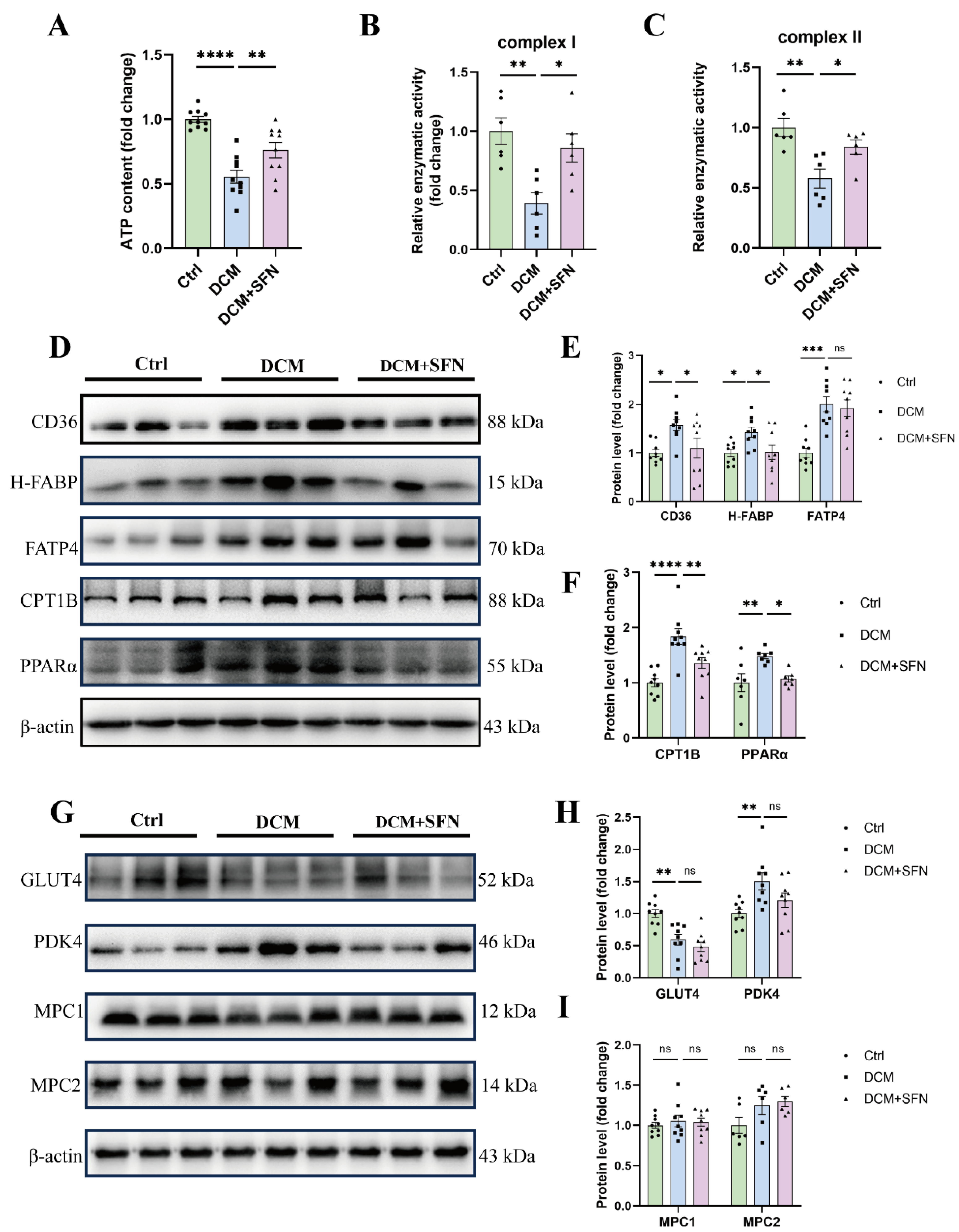 Antioxidants 14 00603 g006