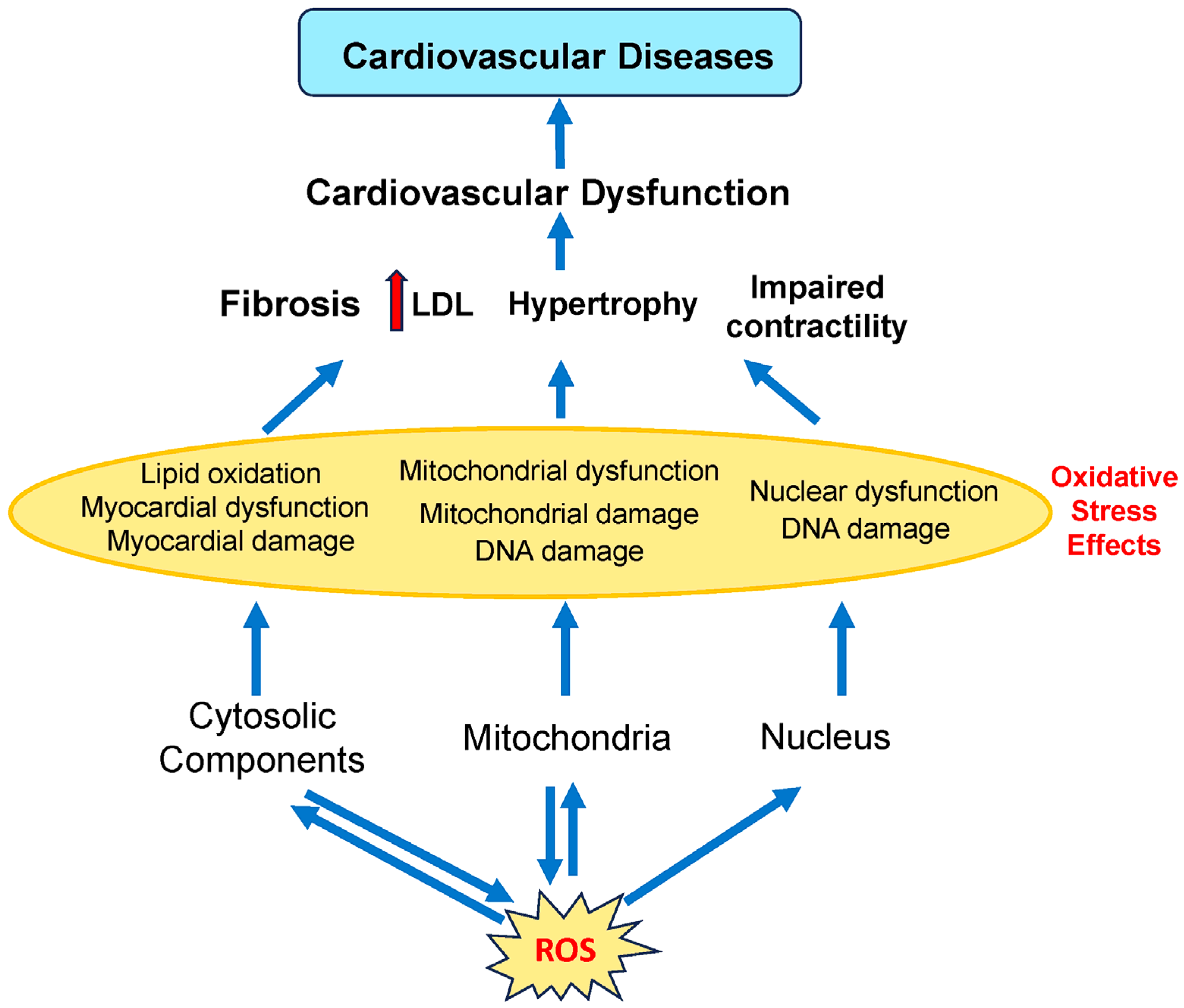 Antioxidants 14 00604 g002