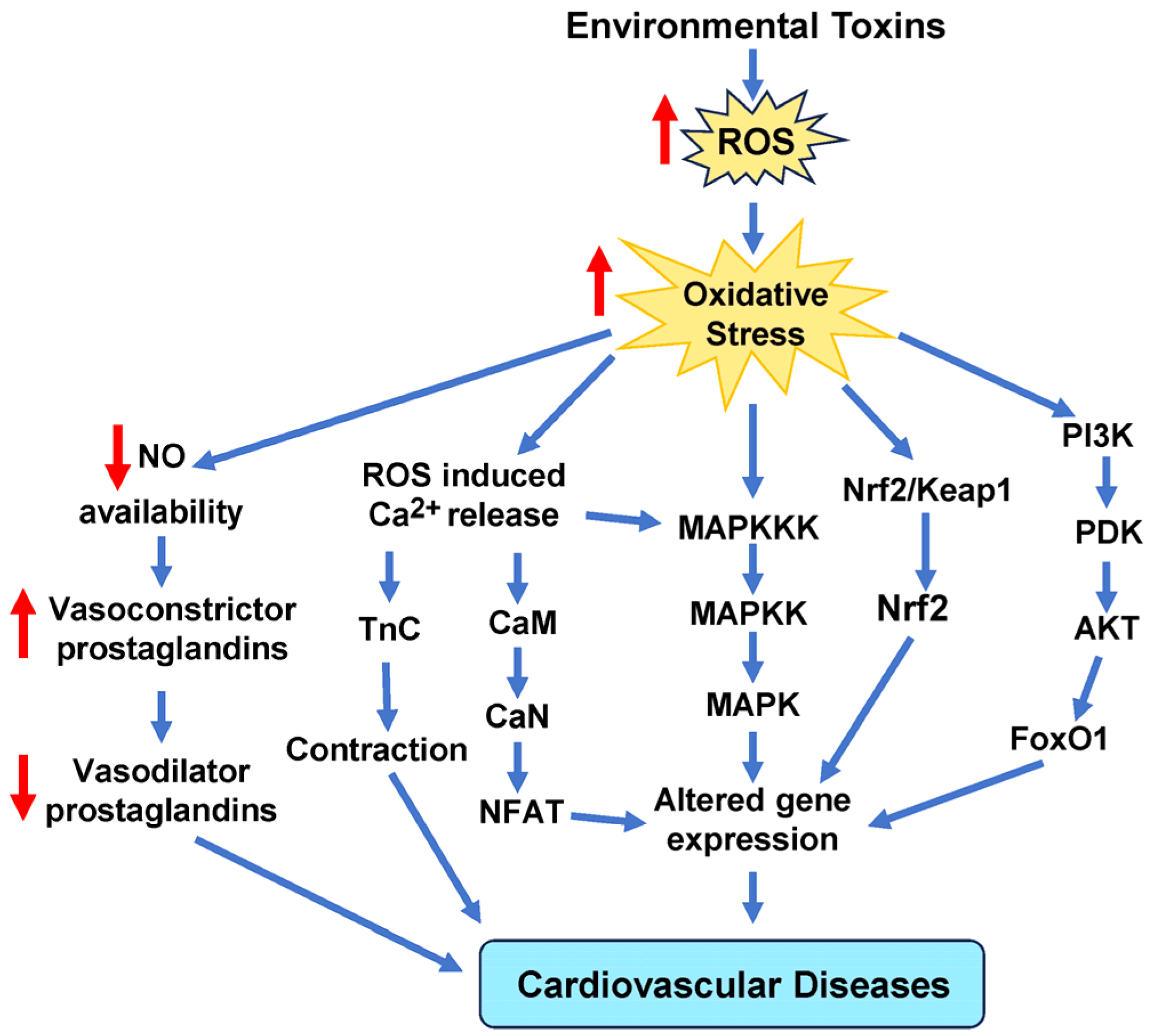 Antioxidants 14 00604 g009