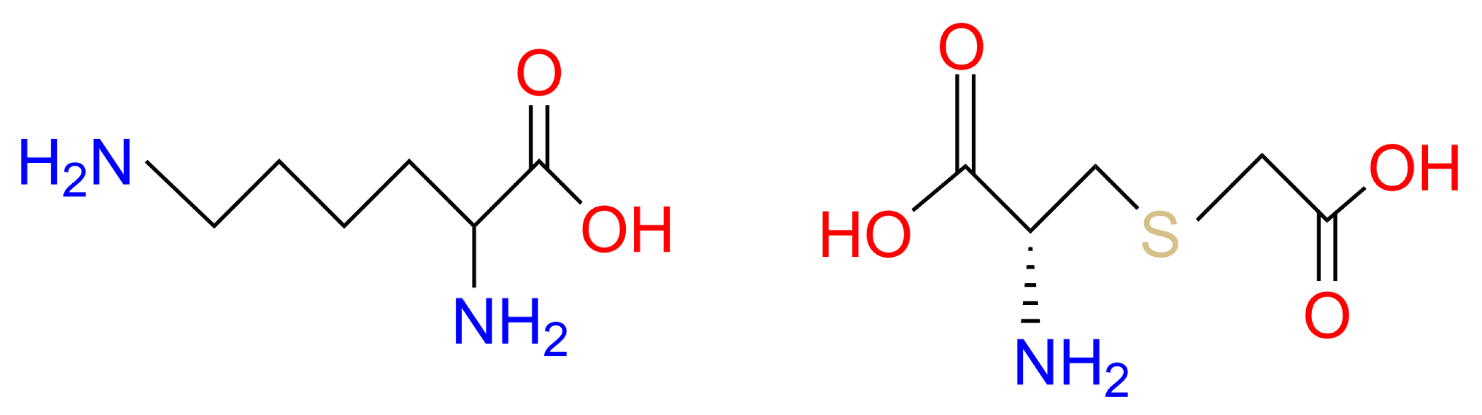 Antioxidants 14 00606 g001 Antioxidants 14 00606 g001