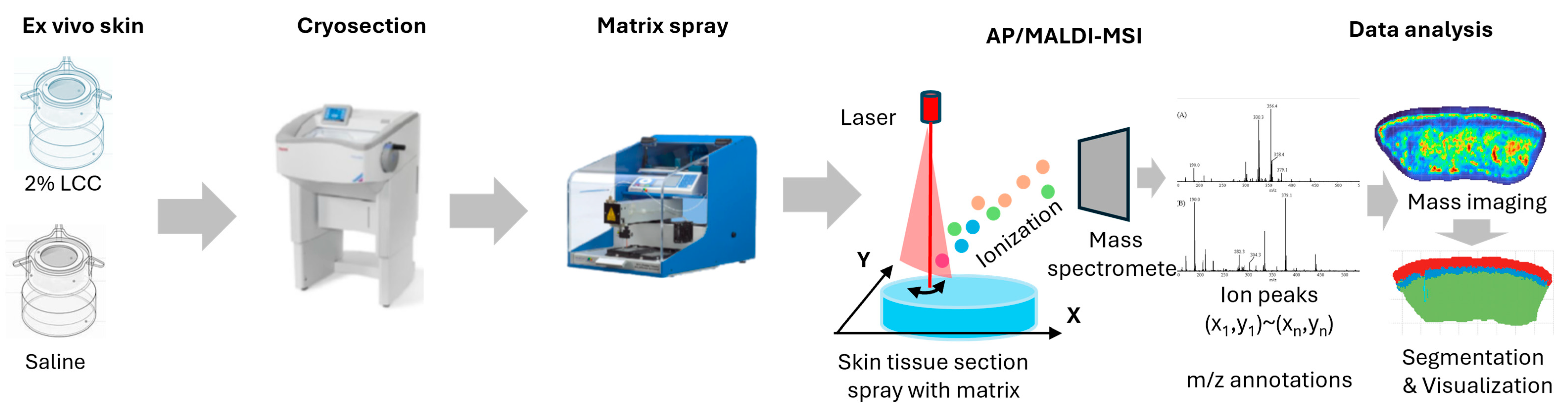 Antioxidants 14 00606 g003 Antioxidants 14 00606 g003