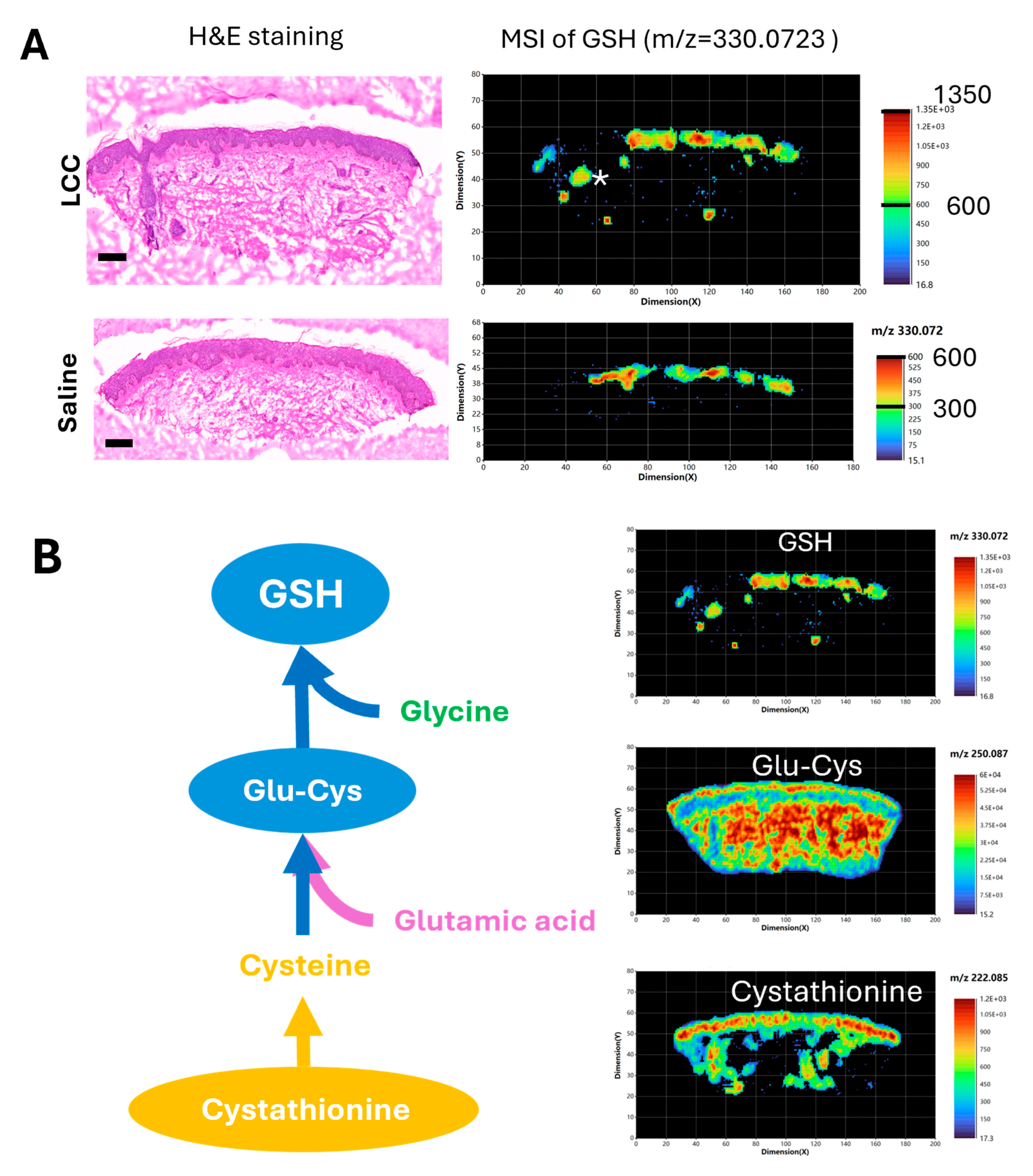 Antioxidants 14 00606 g008 Antioxidants 14 00606 g008