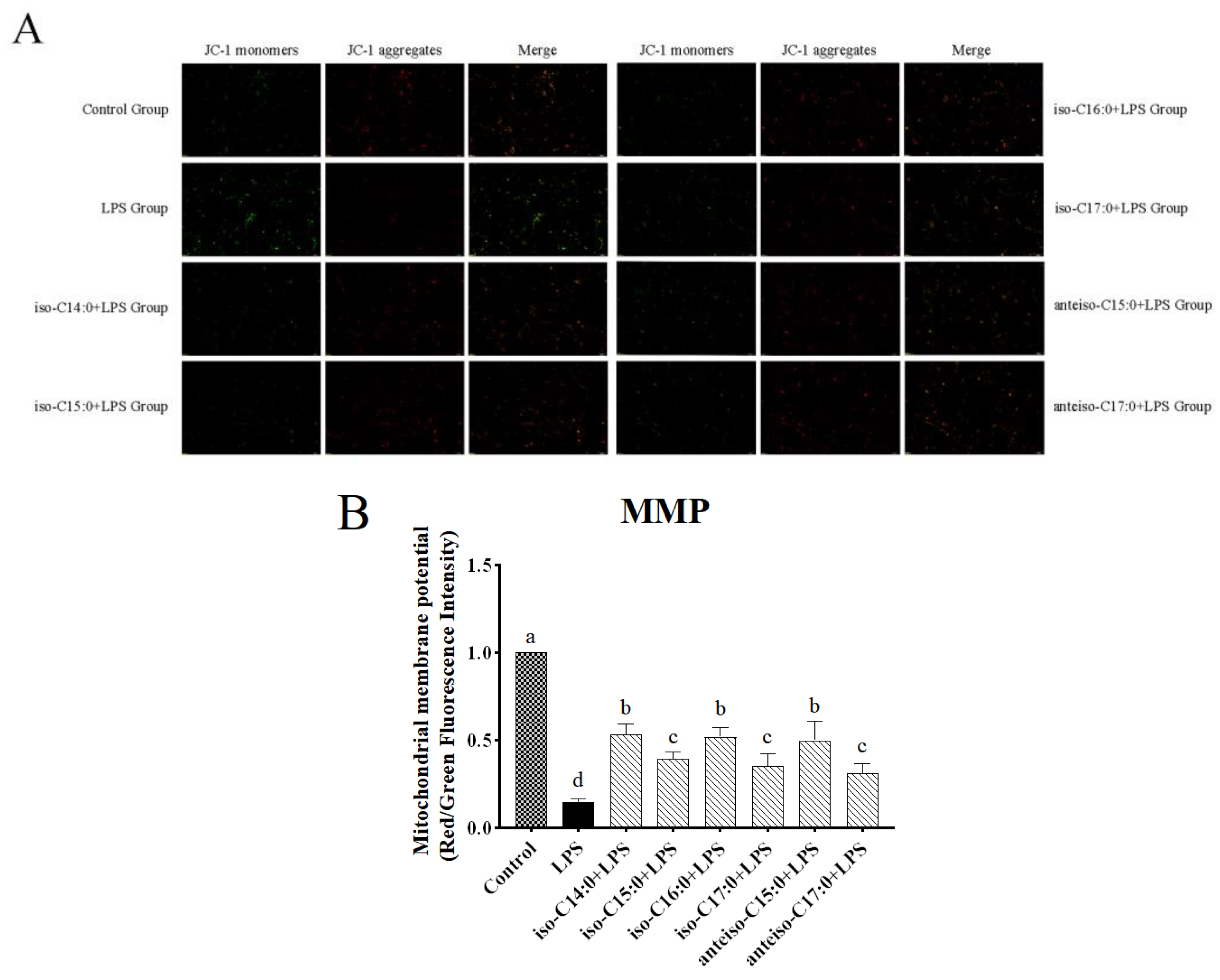 Antioxidants 14 00608 g006