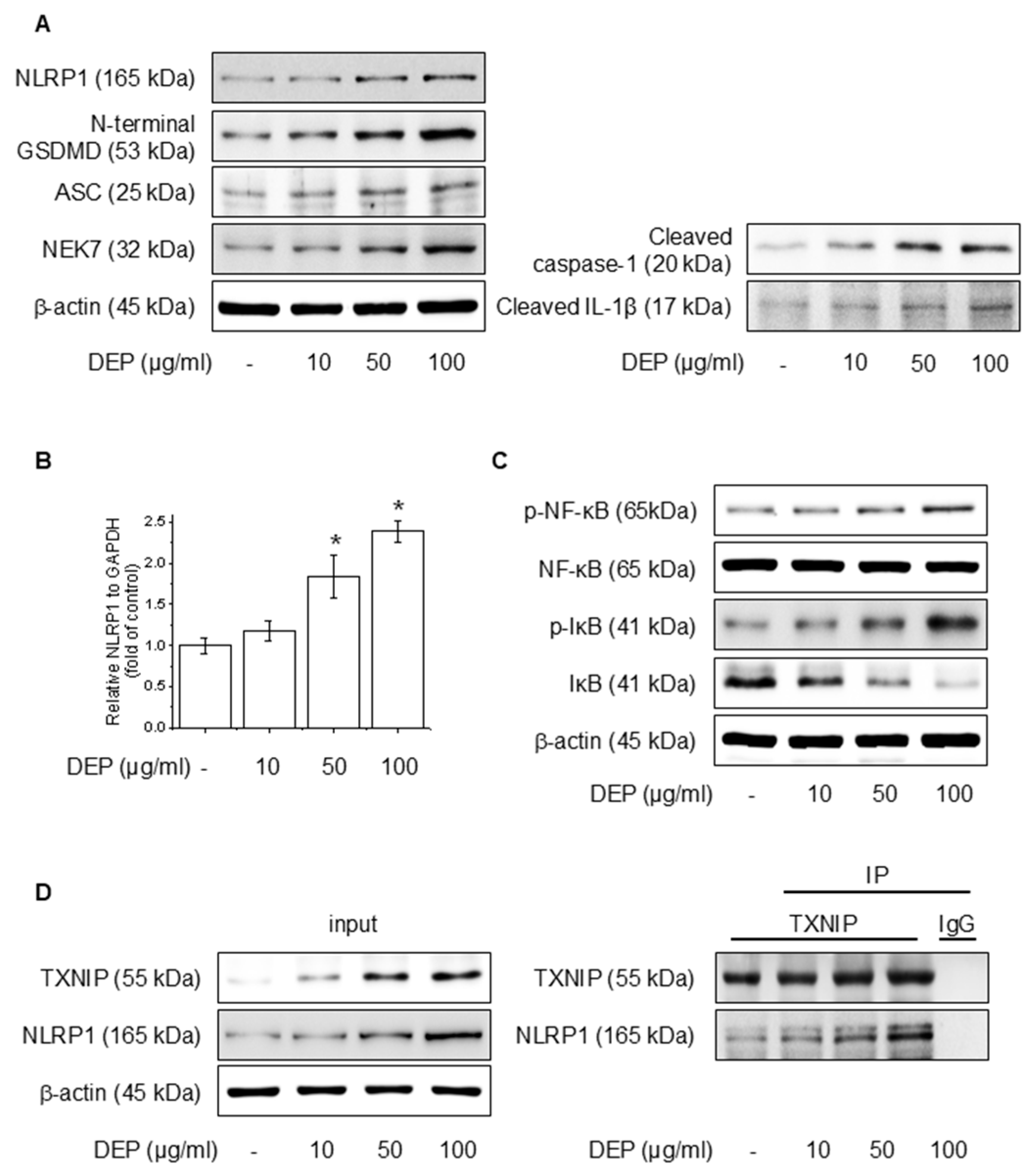 Antioxidants 14 00610 g001
