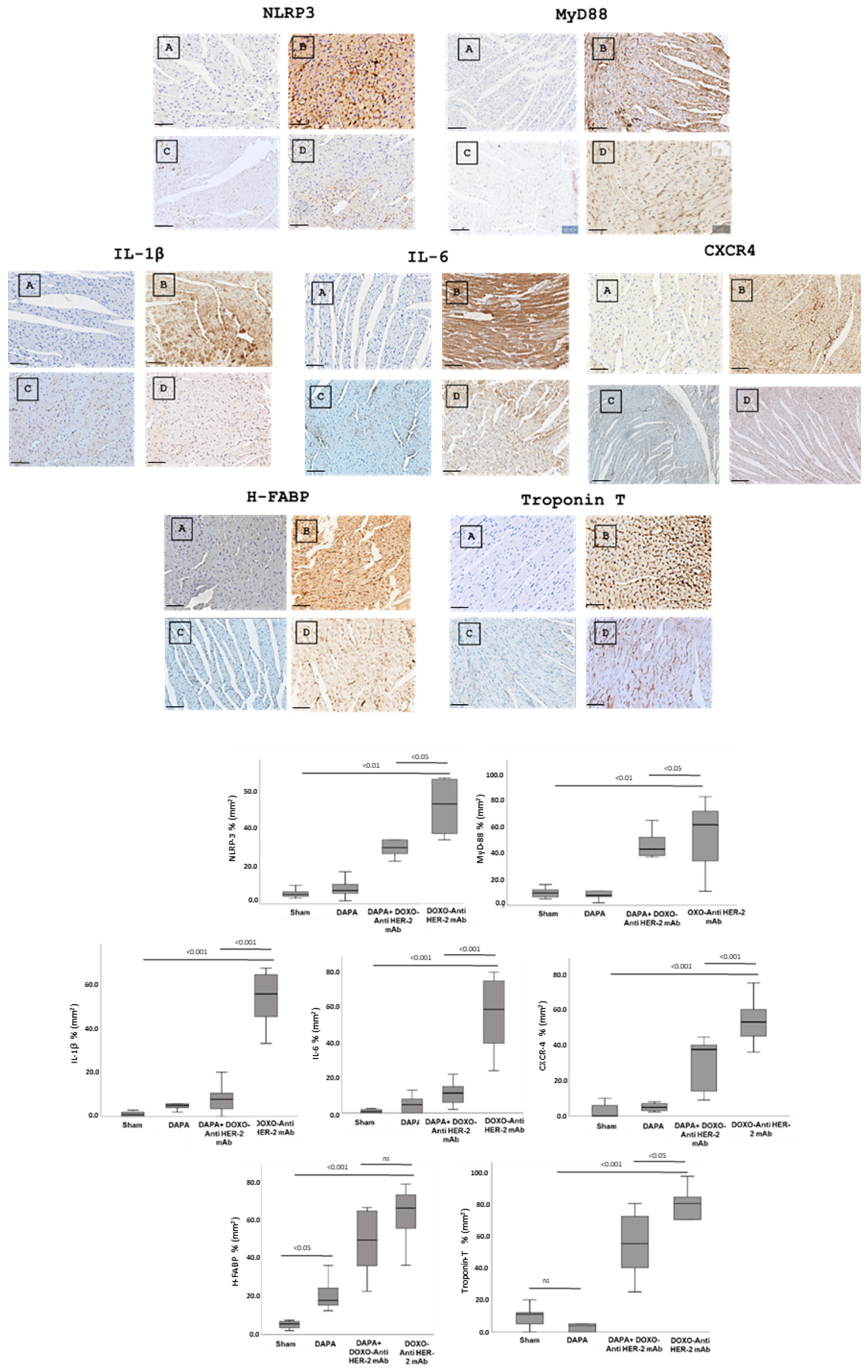 Antioxidants 14 00612 g004