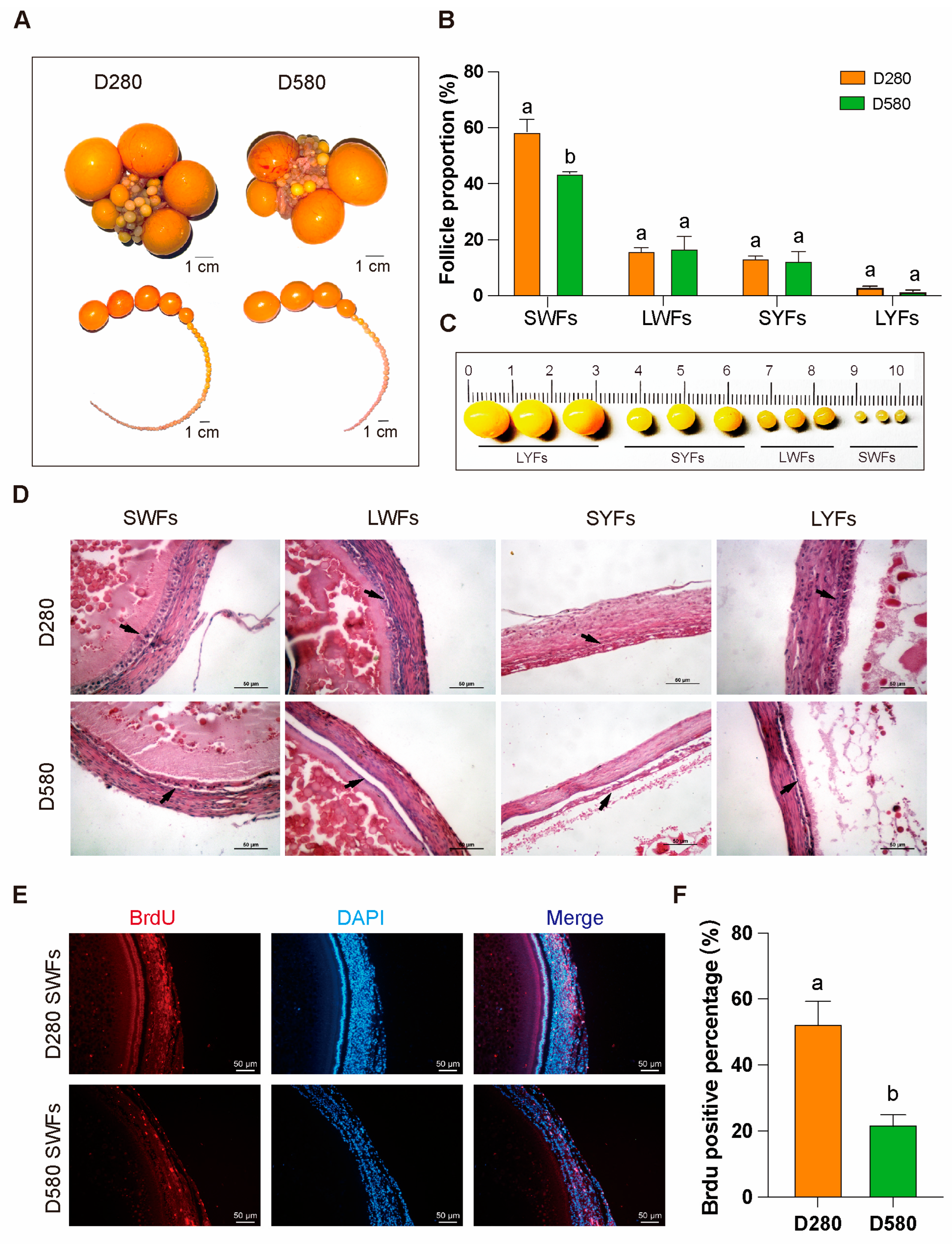 Antioxidants 14 00614 g001