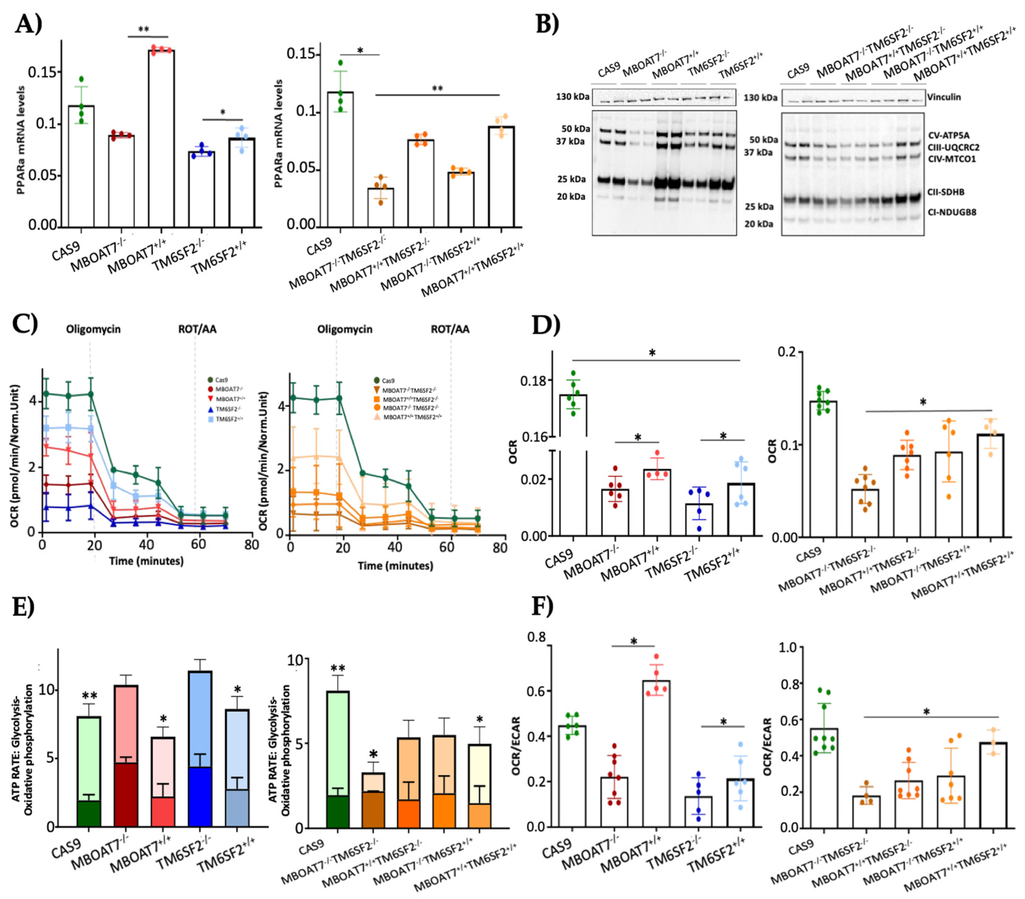Antioxidants 14 00618 g003