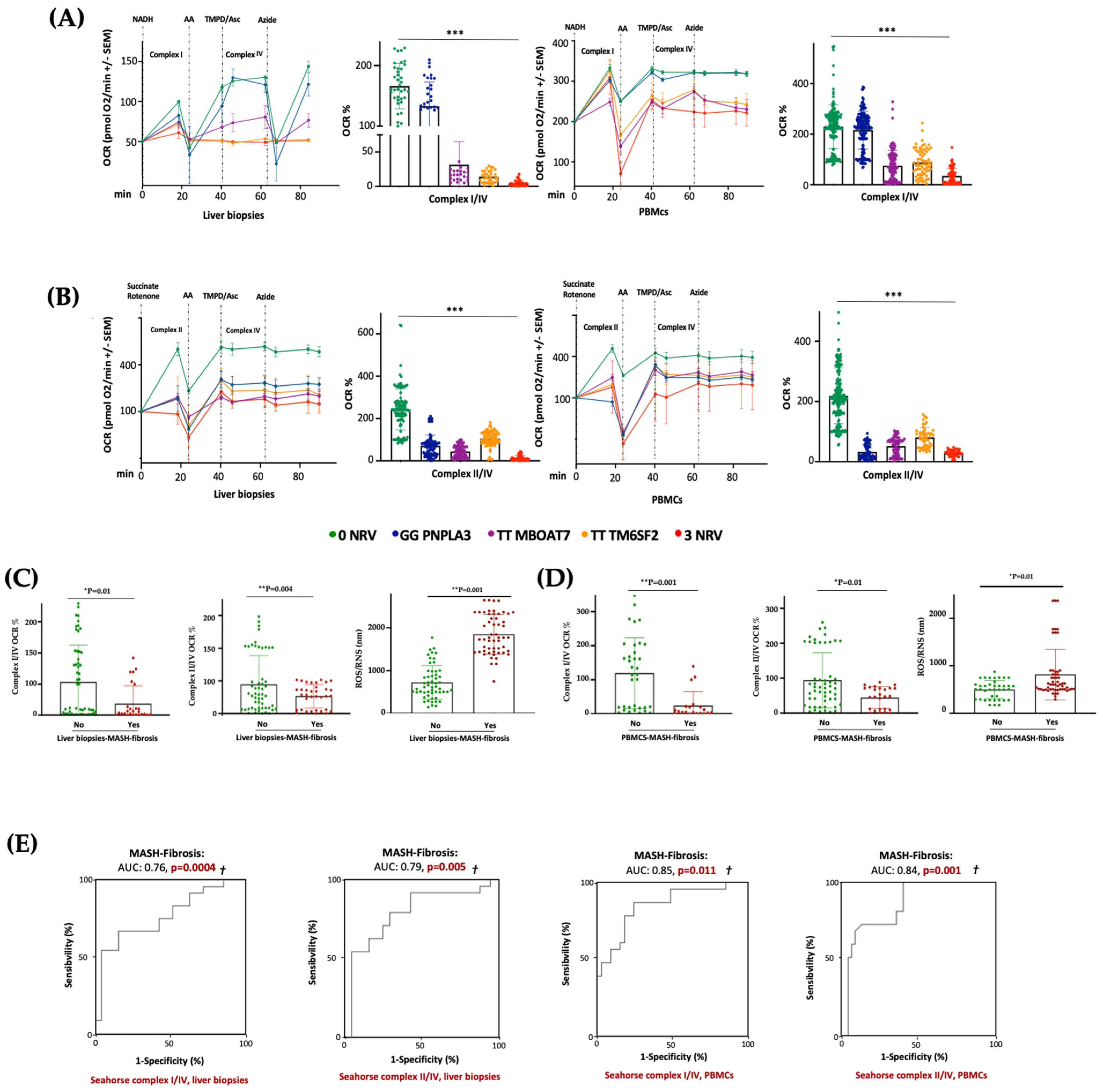 Antioxidants 14 00618 g007