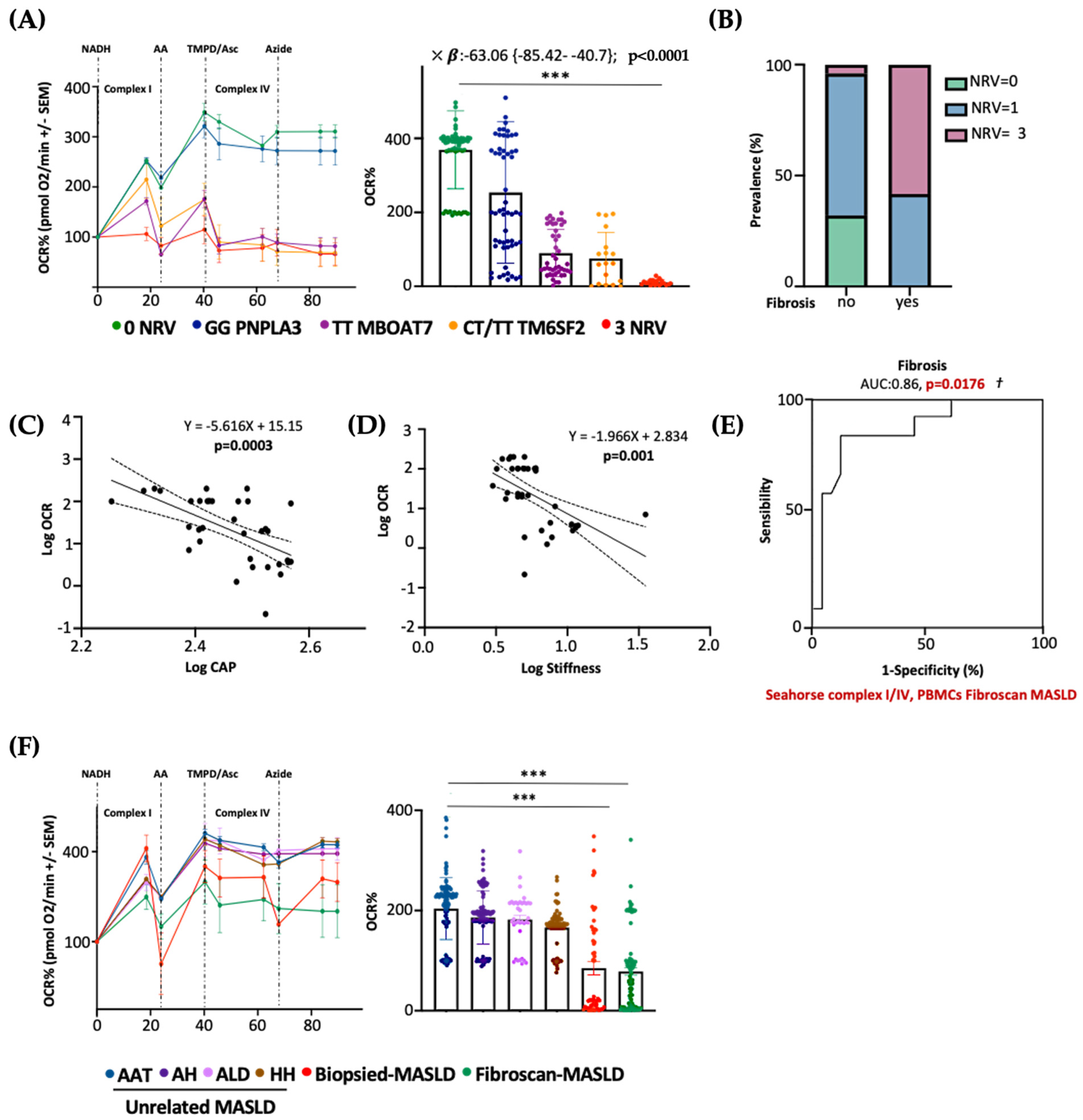 Antioxidants 14 00618 g008