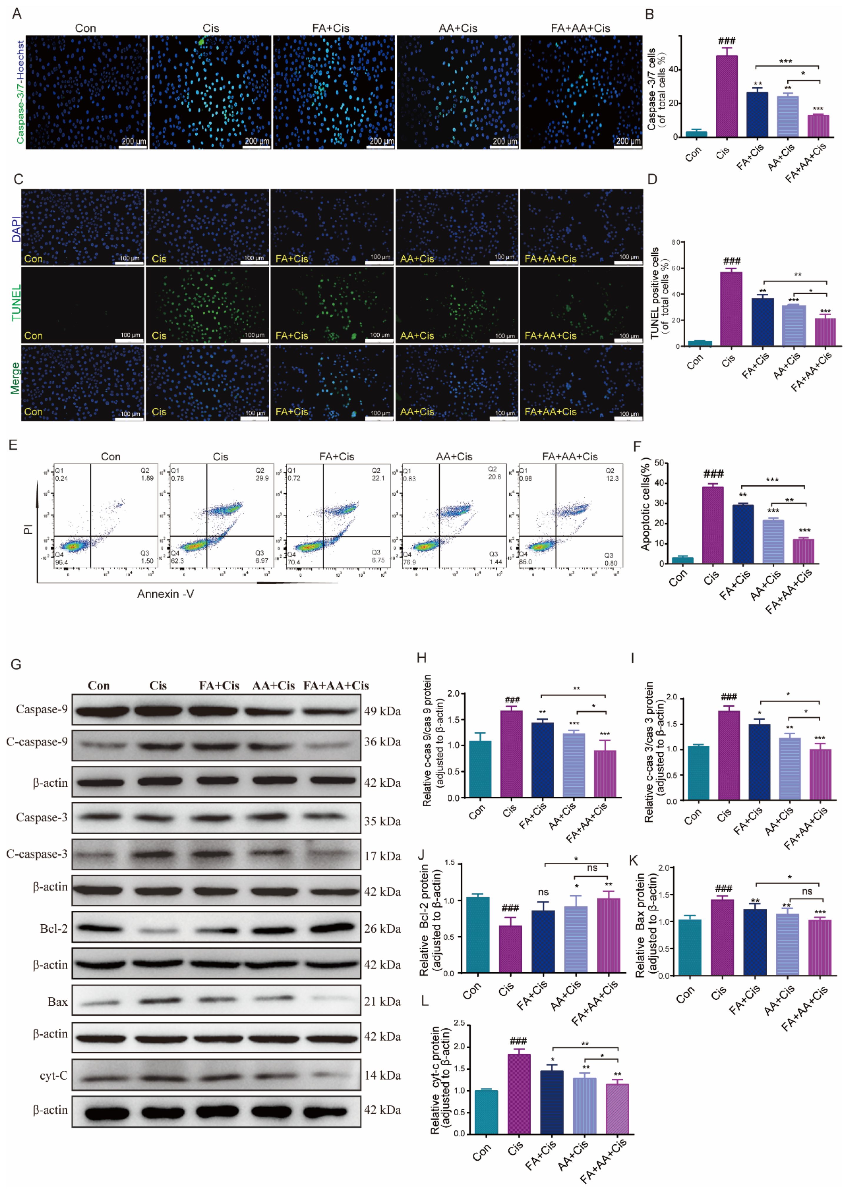 Antioxidants 14 00619 g002