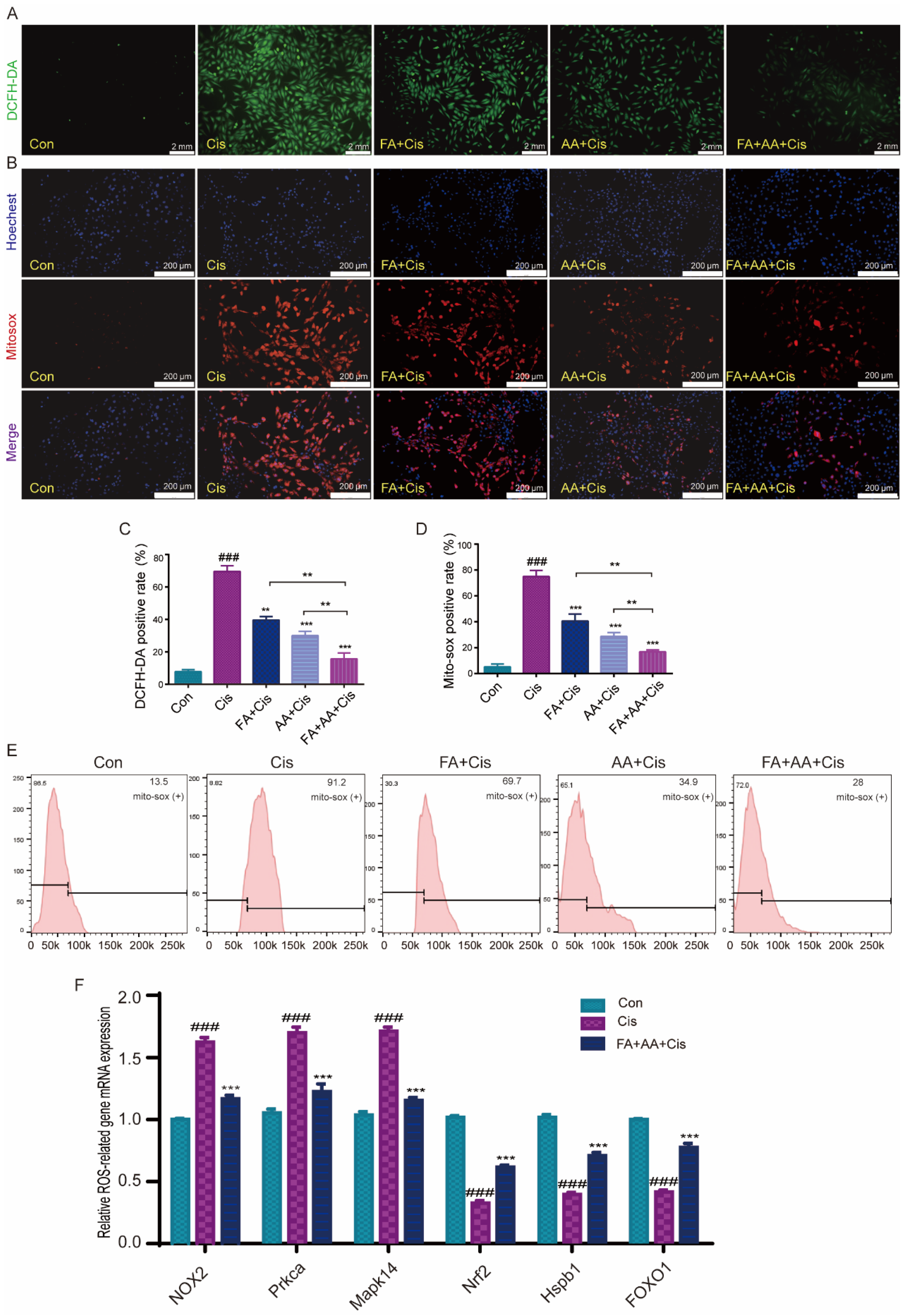 Antioxidants 14 00619 g003
