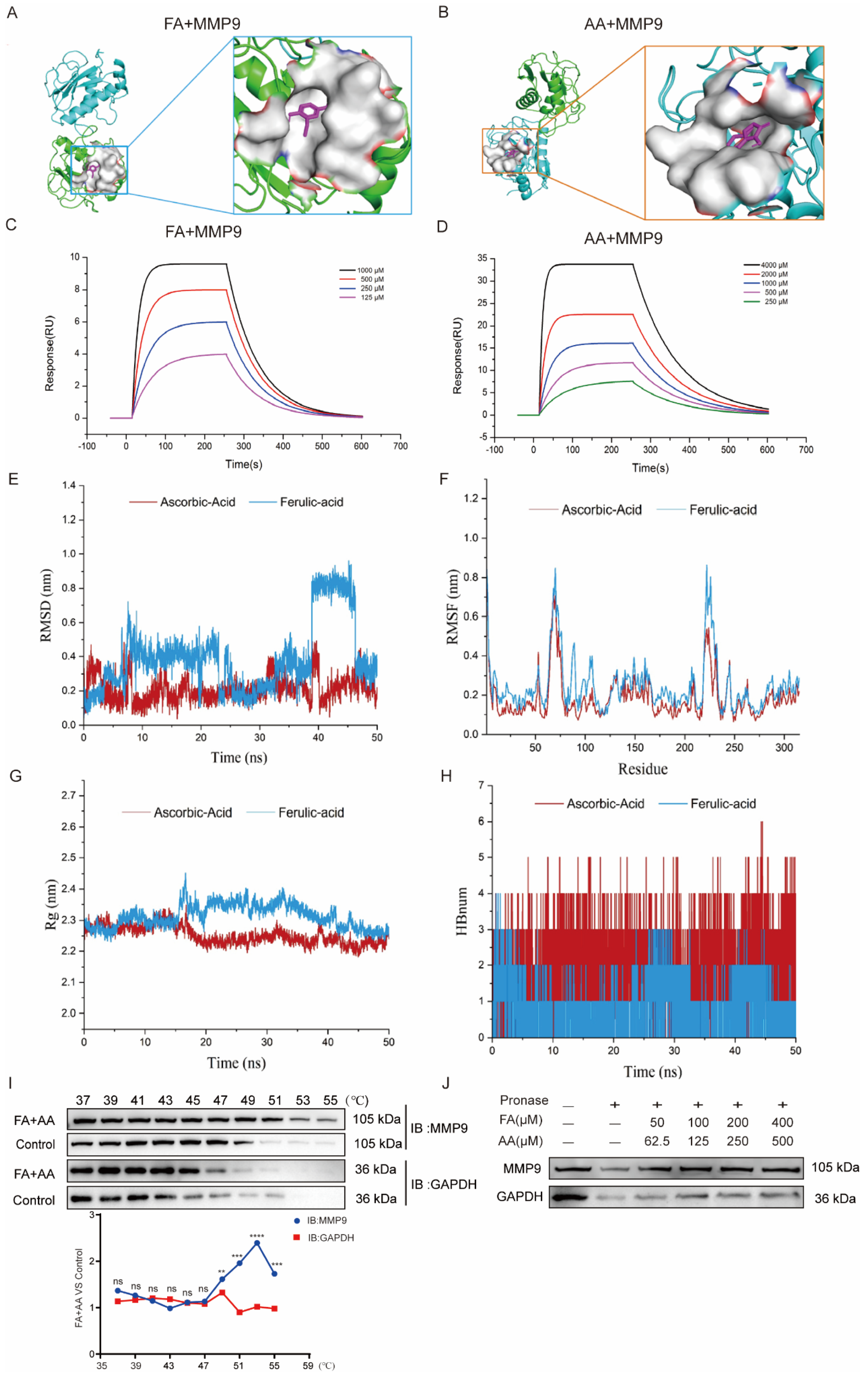 Antioxidants 14 00619 g006