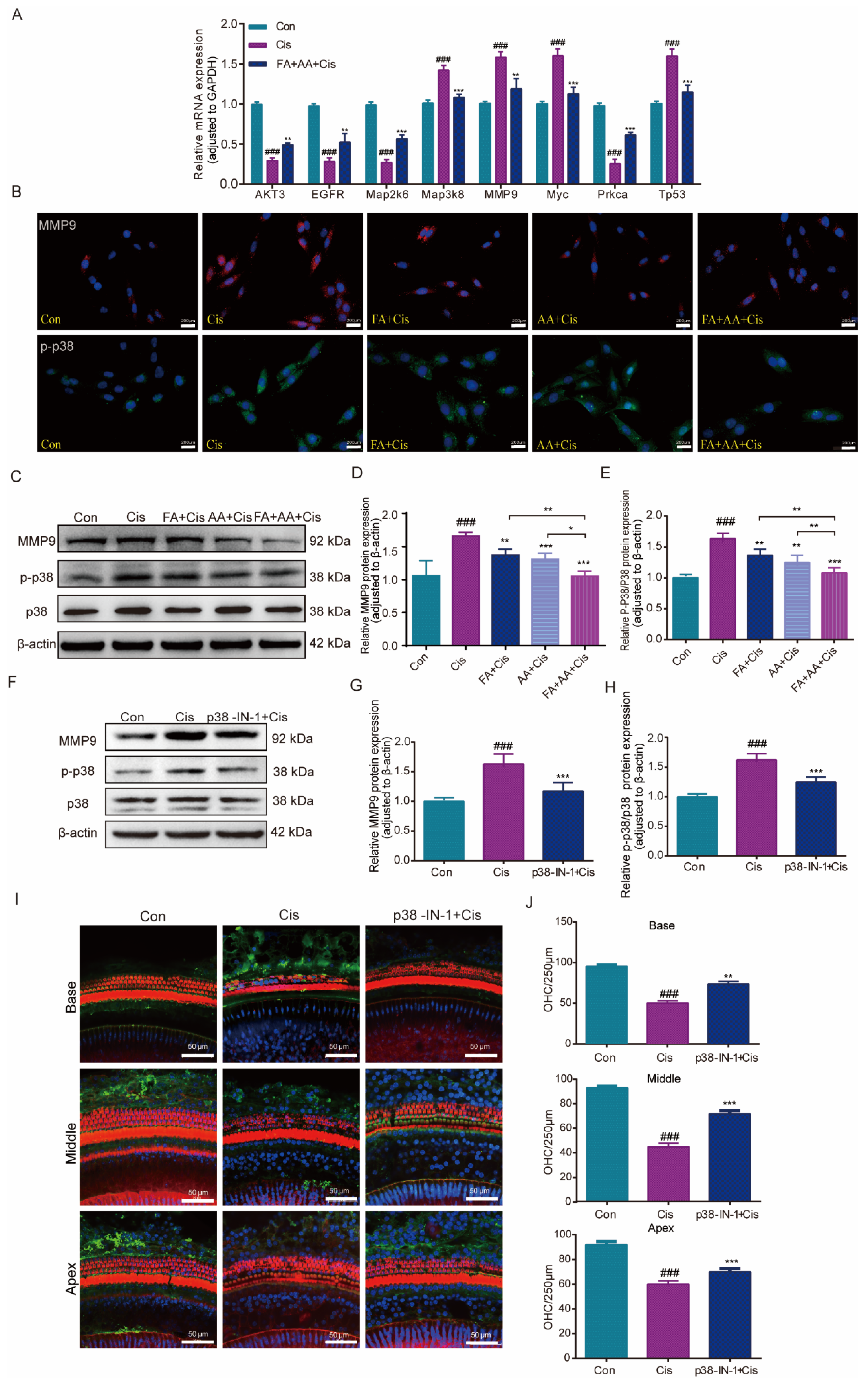 Antioxidants 14 00619 g007