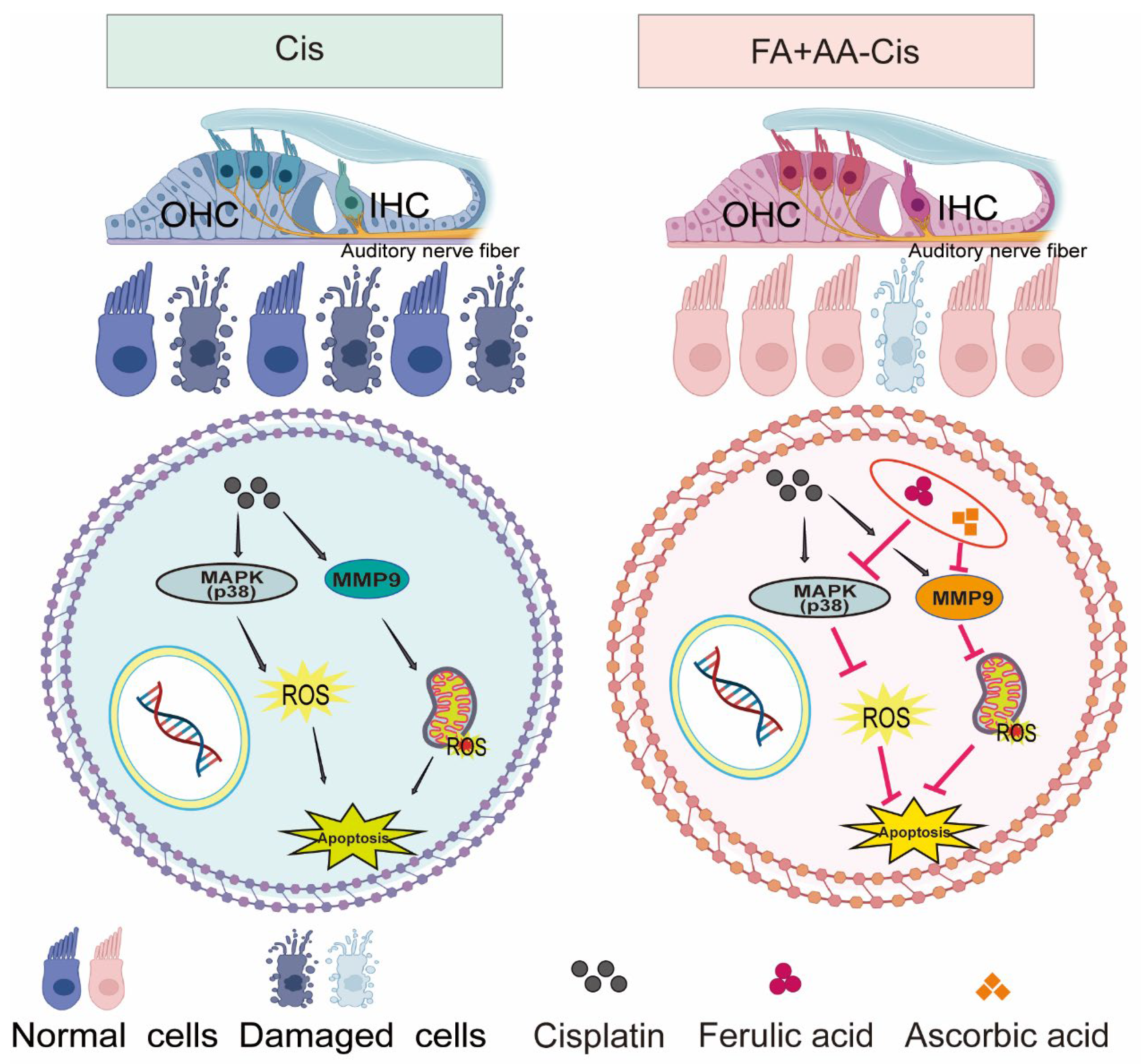Antioxidants 14 00619 g008
