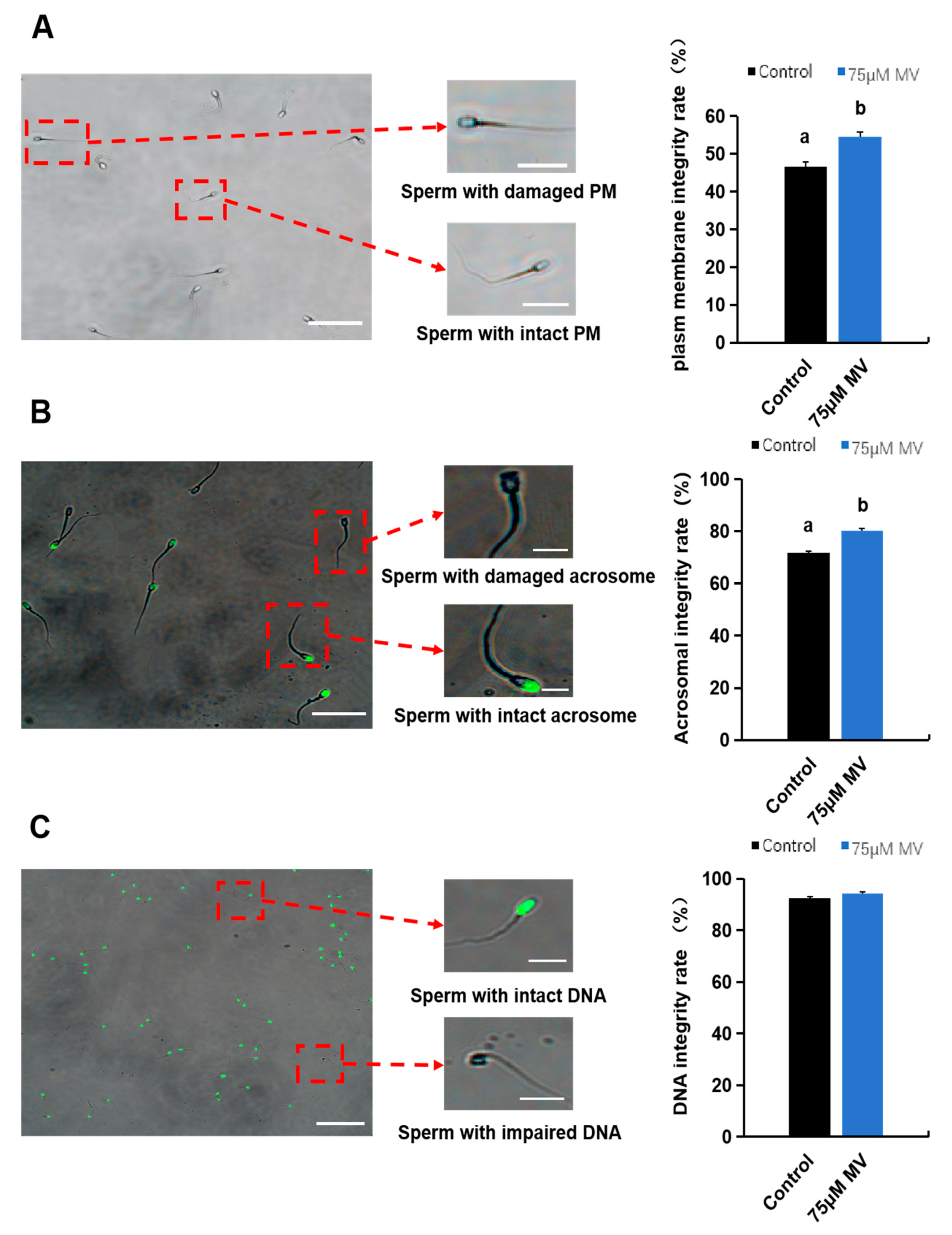 Antioxidants 14 00622 g003