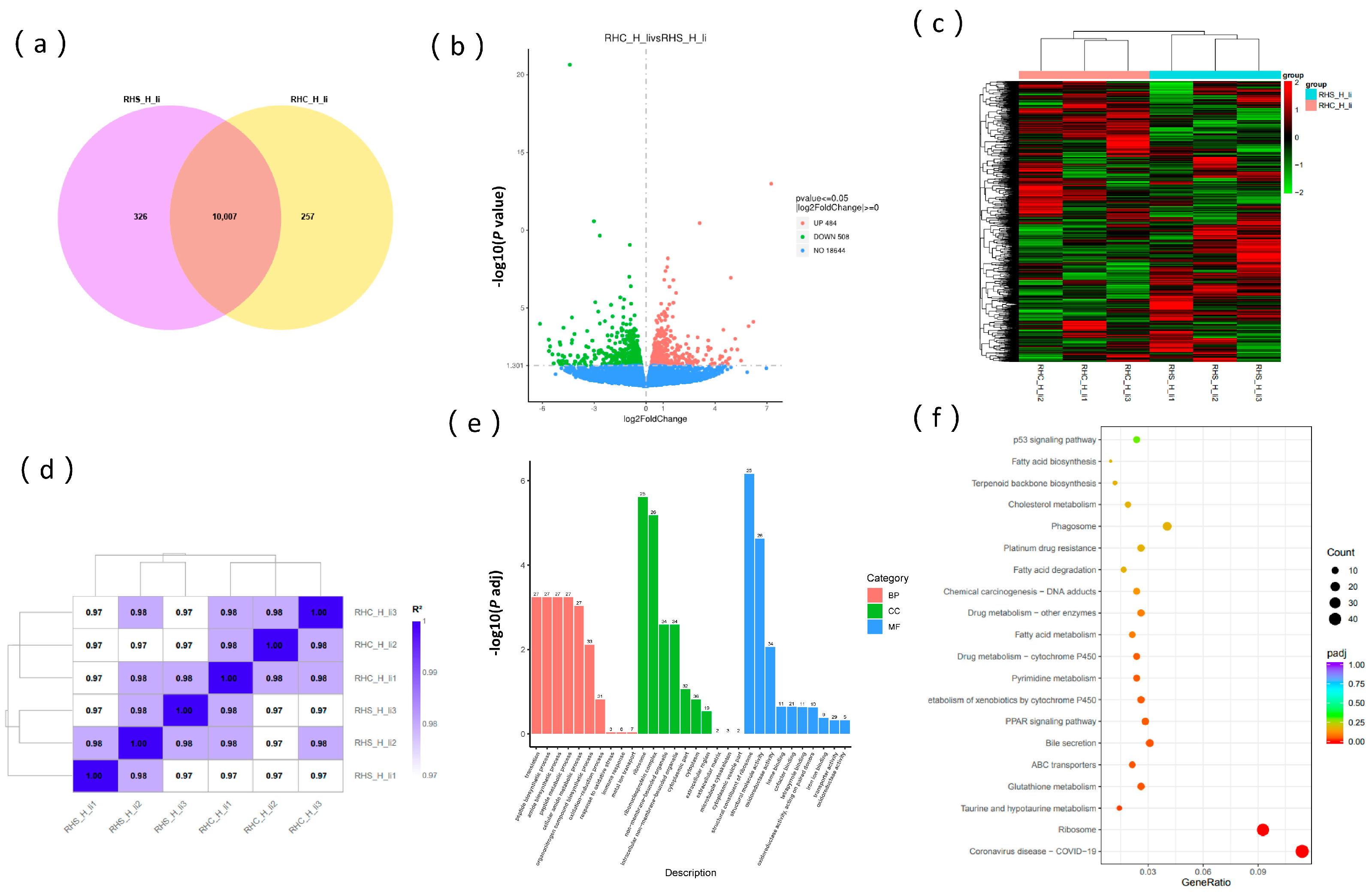 Antioxidants 14 00623 g005 Antioxidants 14 00623 g005