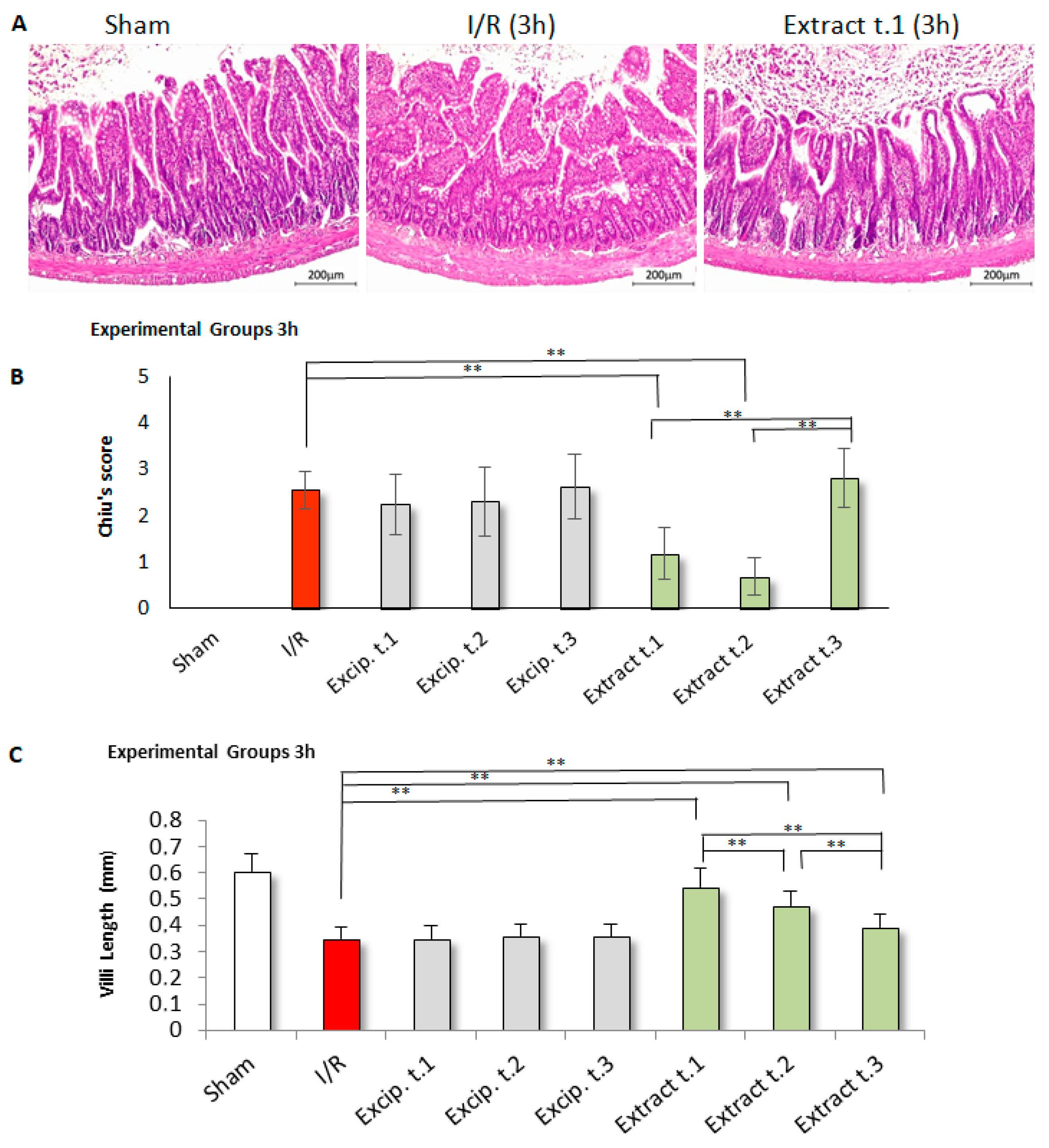 Antioxidants 14 00624 g008 Antioxidants 14 00624 g008