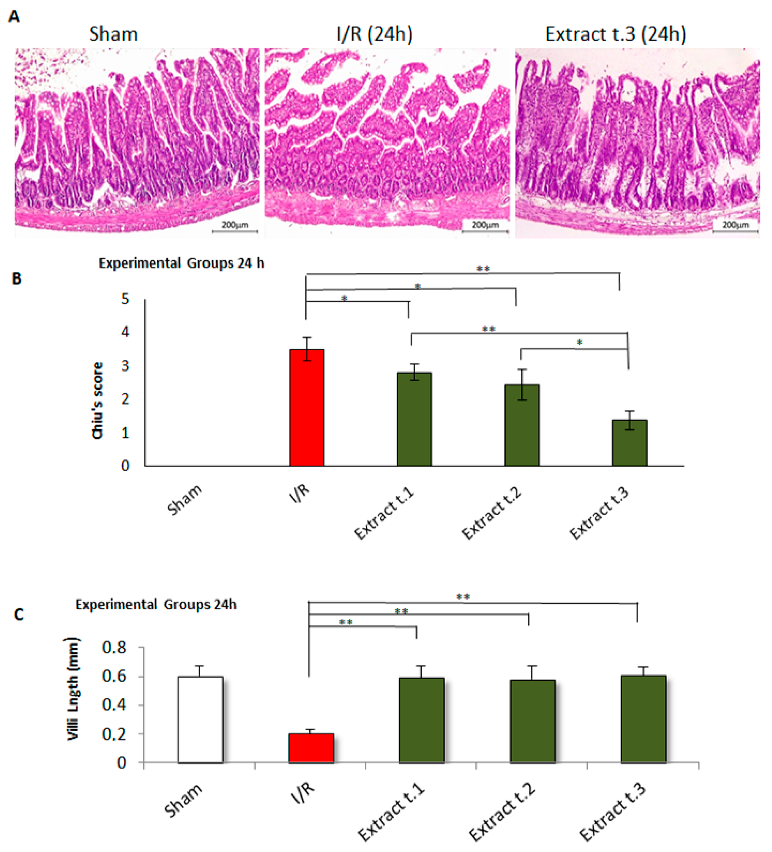 Antioxidants 14 00624 g009 Antioxidants 14 00624 g009
