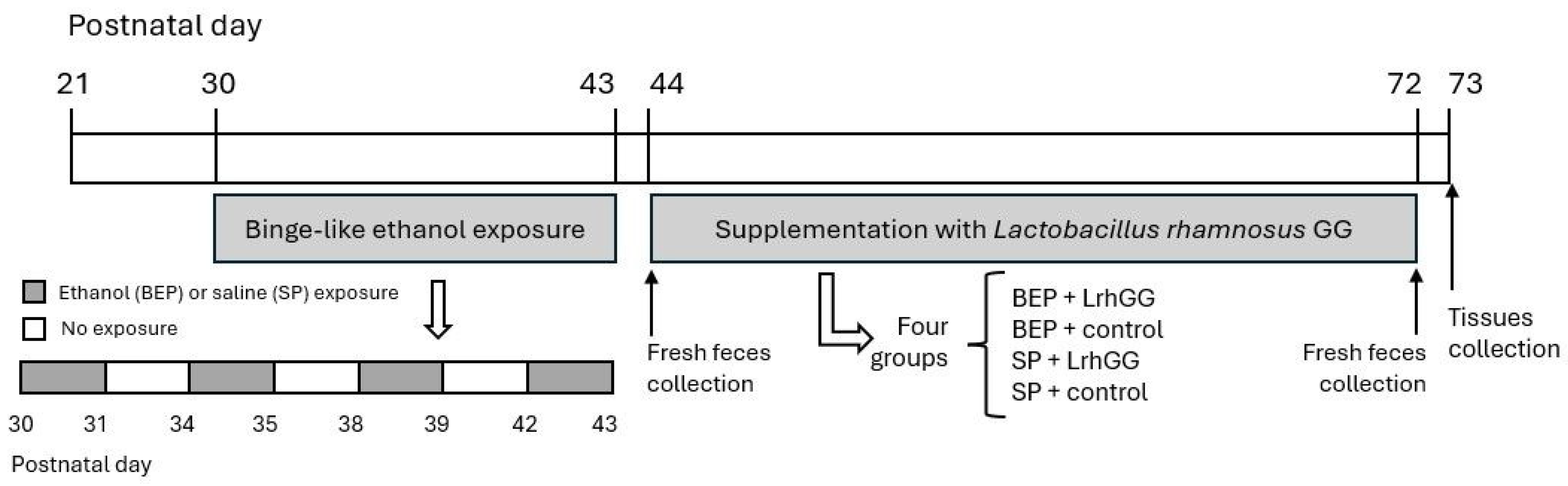 Antioxidants 14 00627 g001