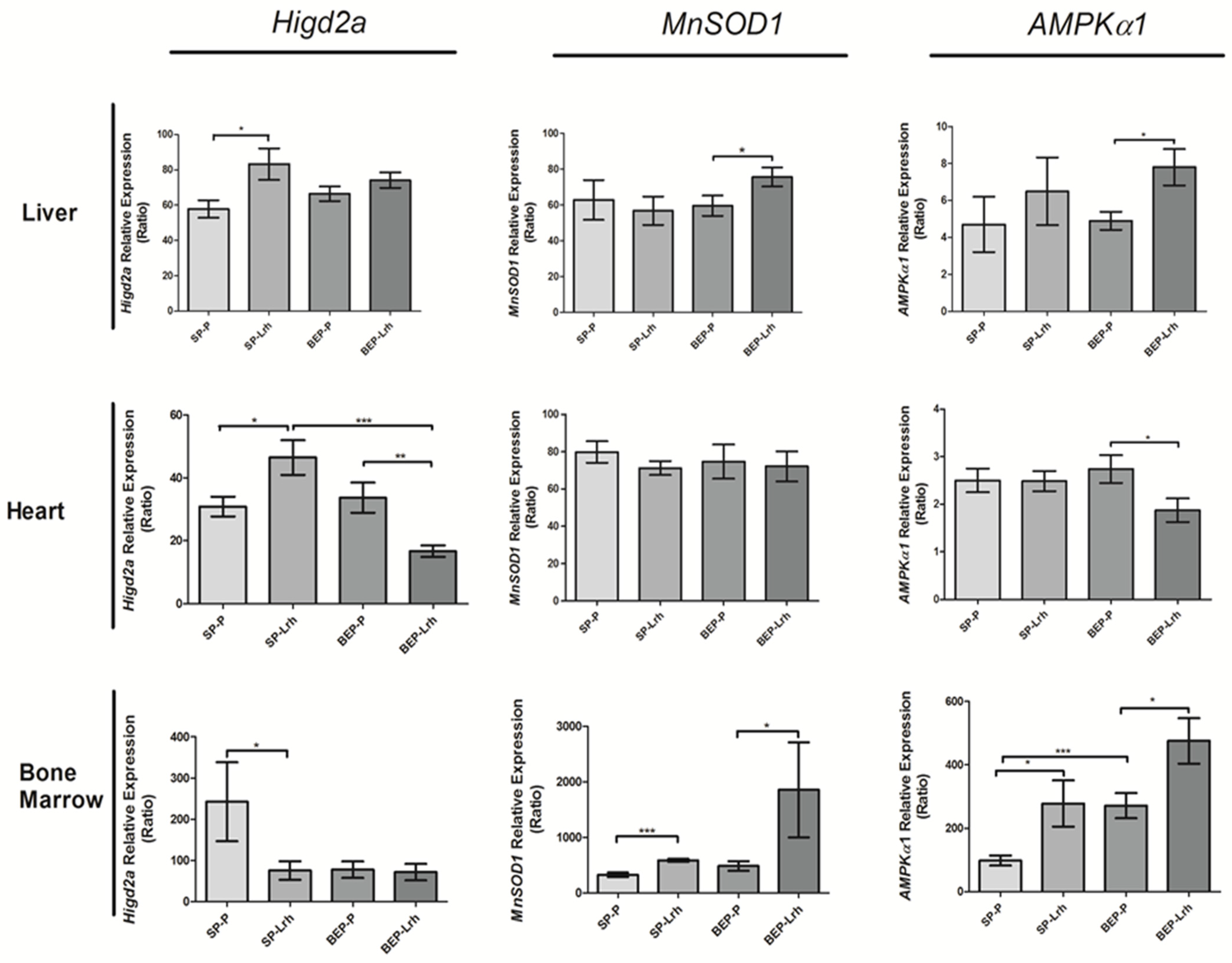 Antioxidants 14 00627 g002