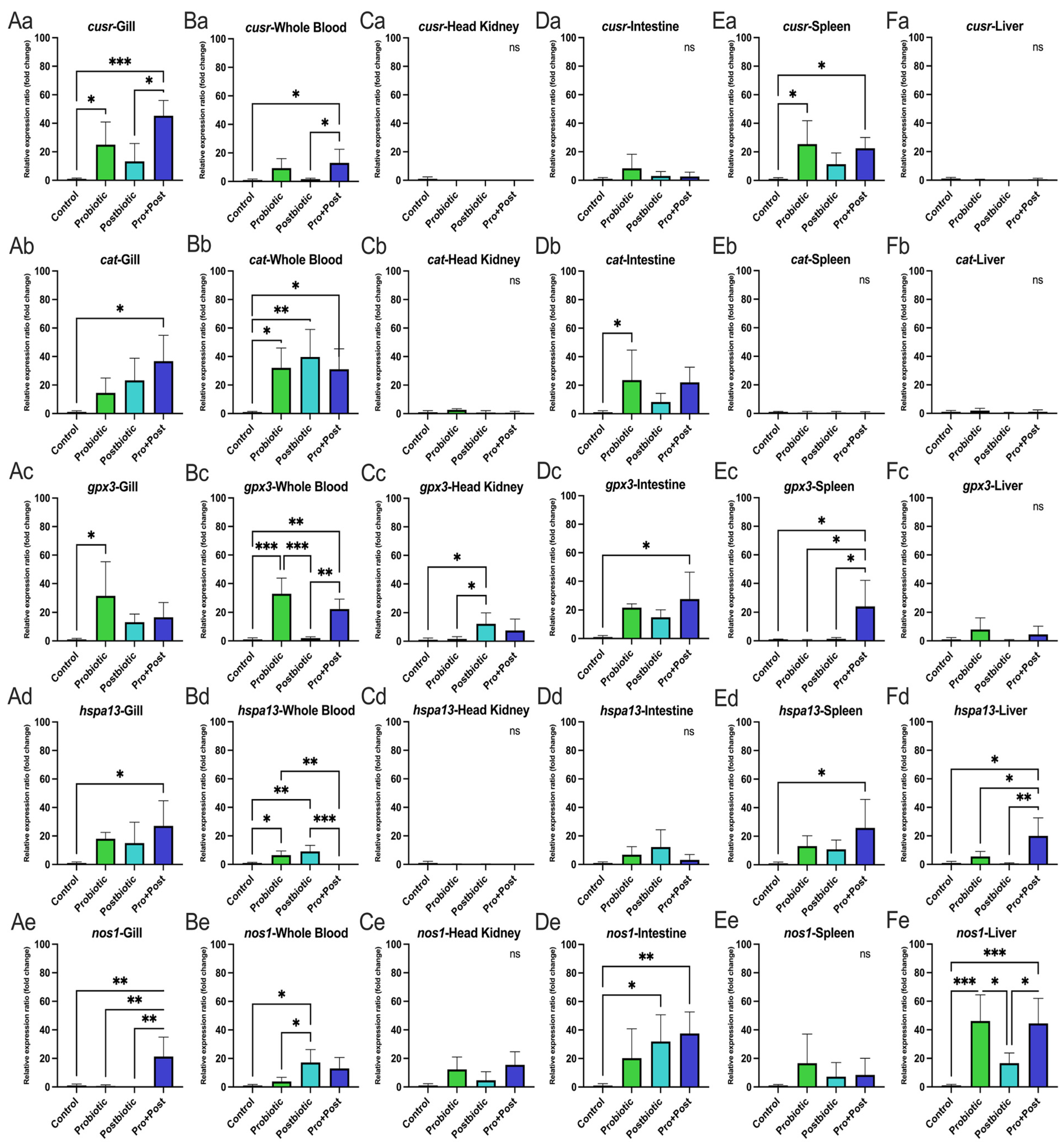 Antioxidants 14 00629 g004
