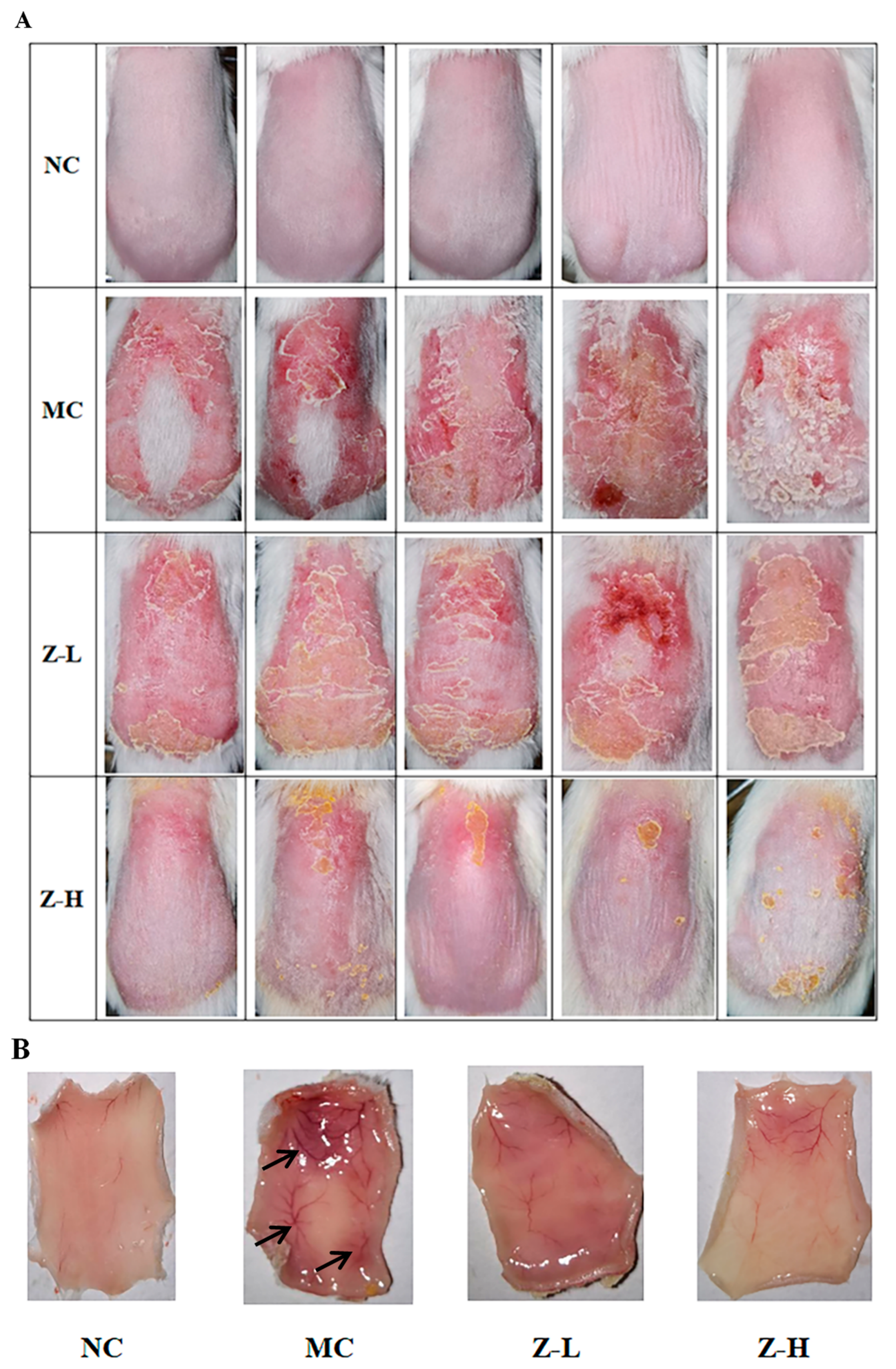 Antioxidants 14 00632 g001