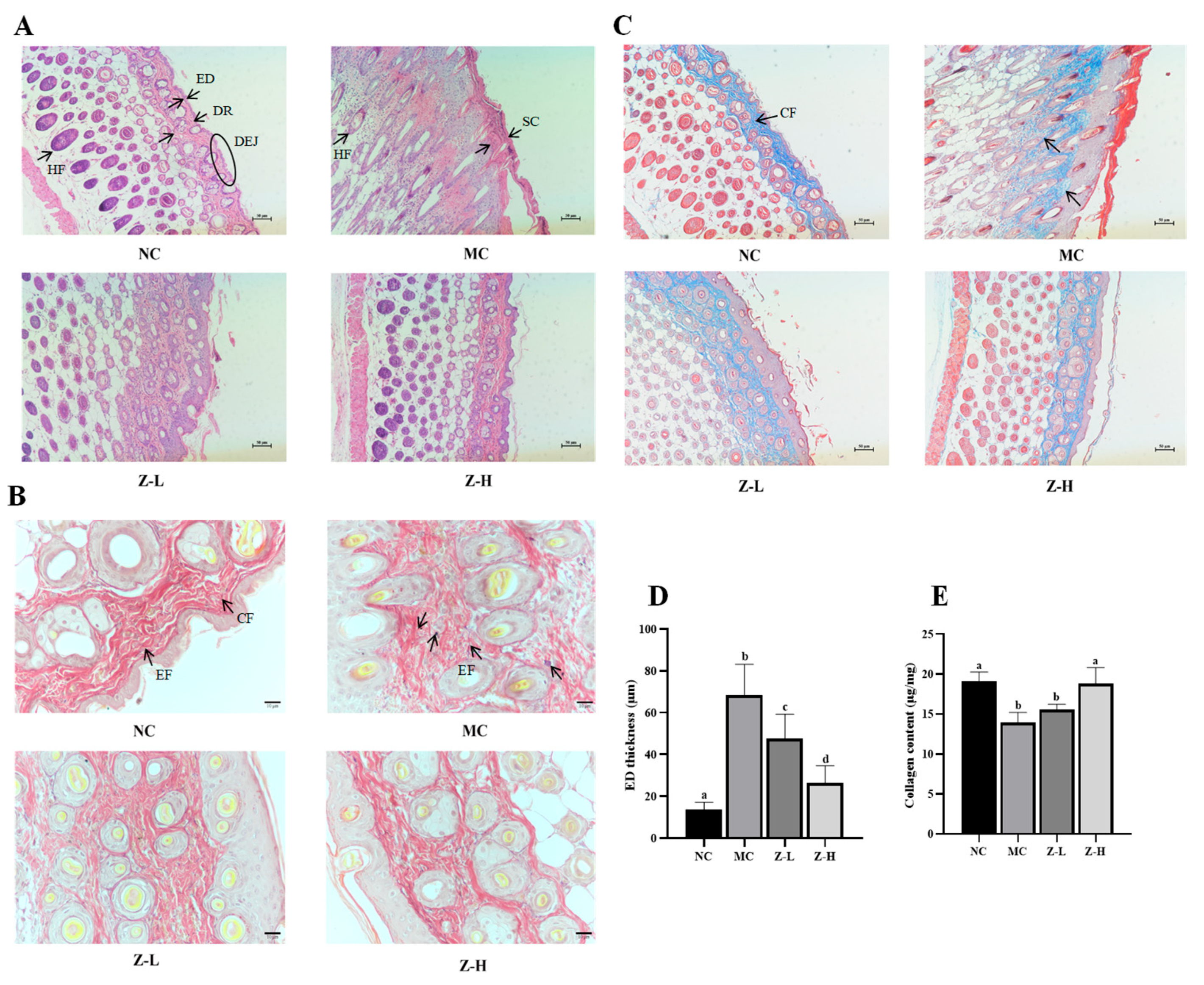 Antioxidants 14 00632 g002