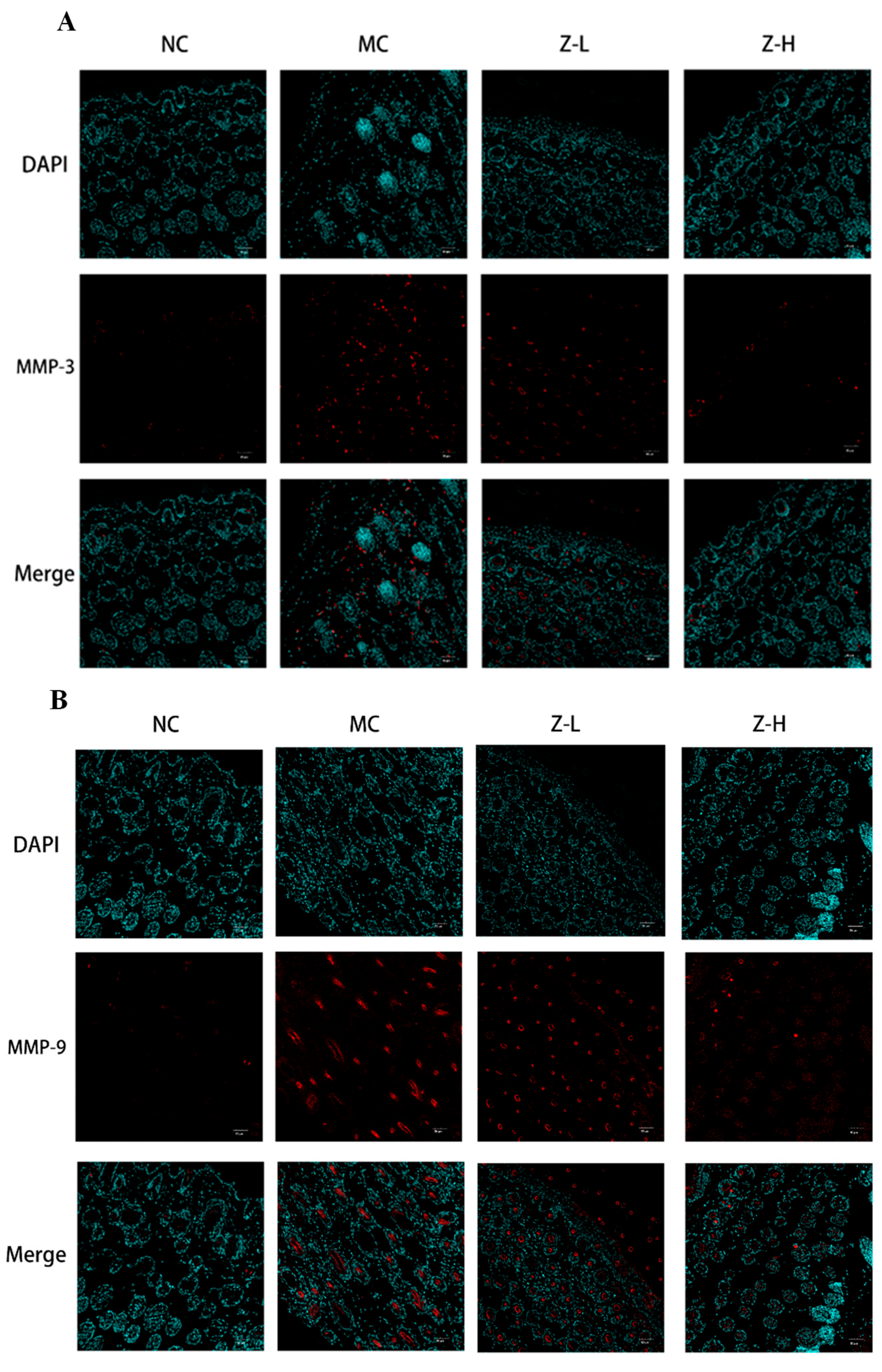 Antioxidants 14 00632 g003