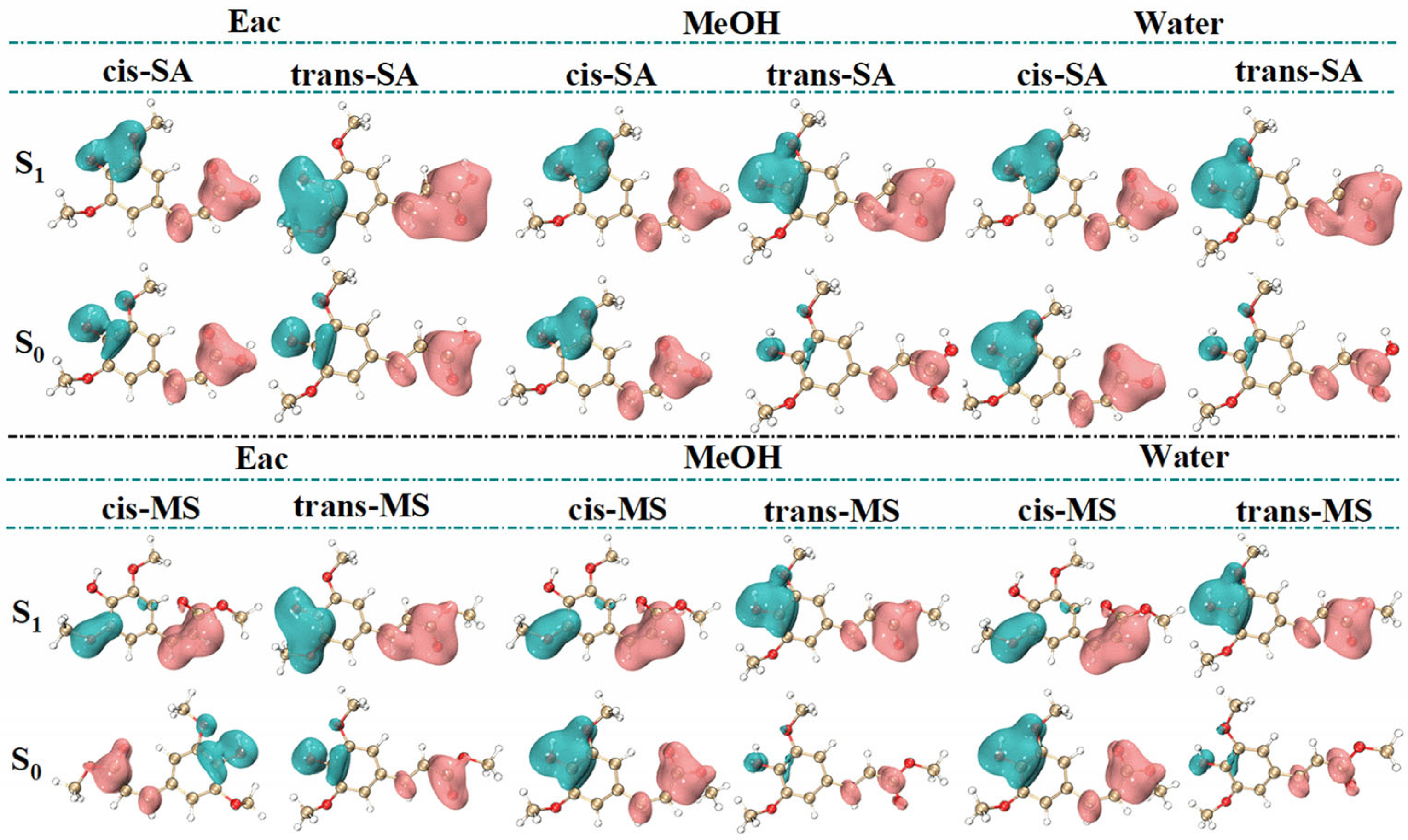 Antioxidants 14 00633 g007