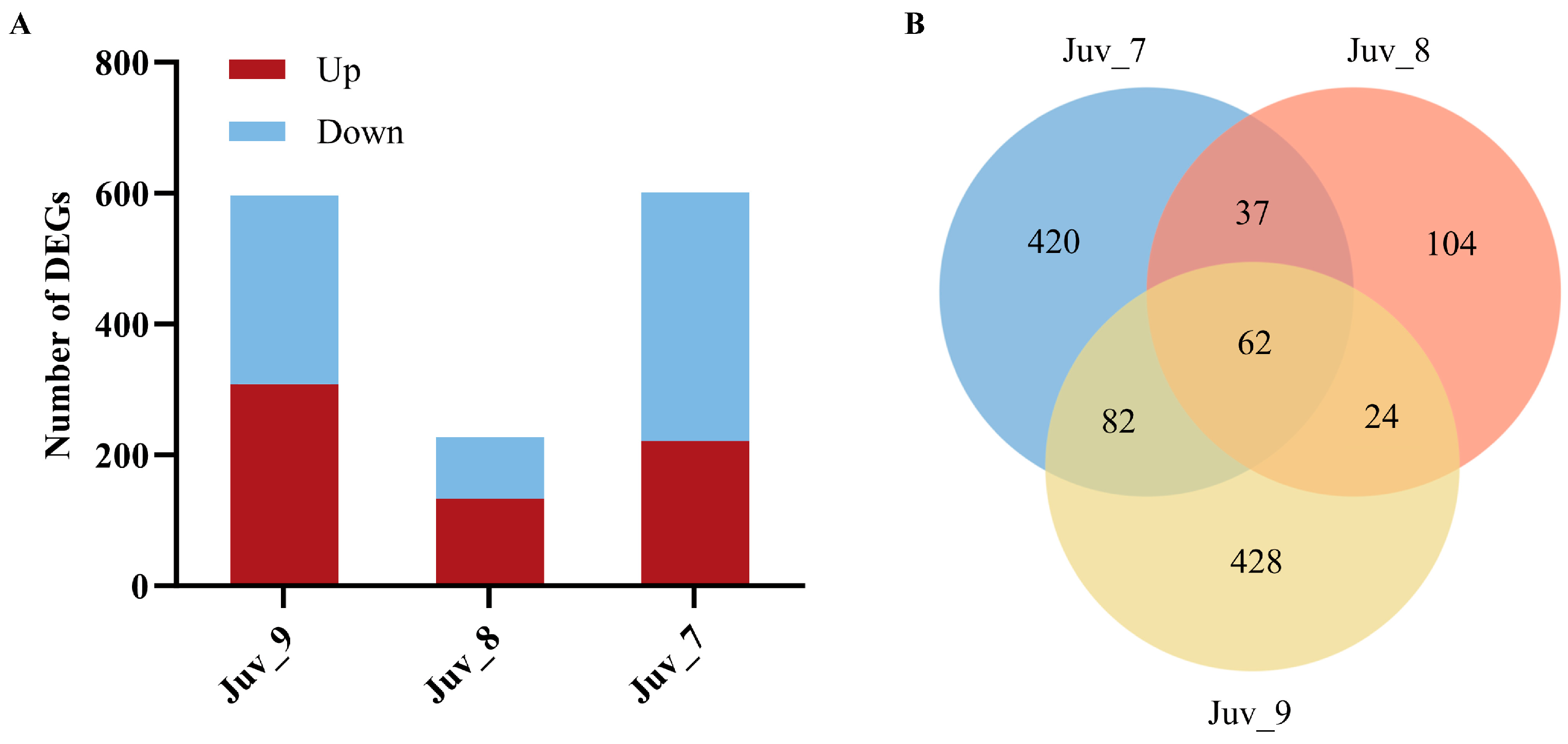 Antioxidants 14 00635 g002 Antioxidants 14 00635 g002
