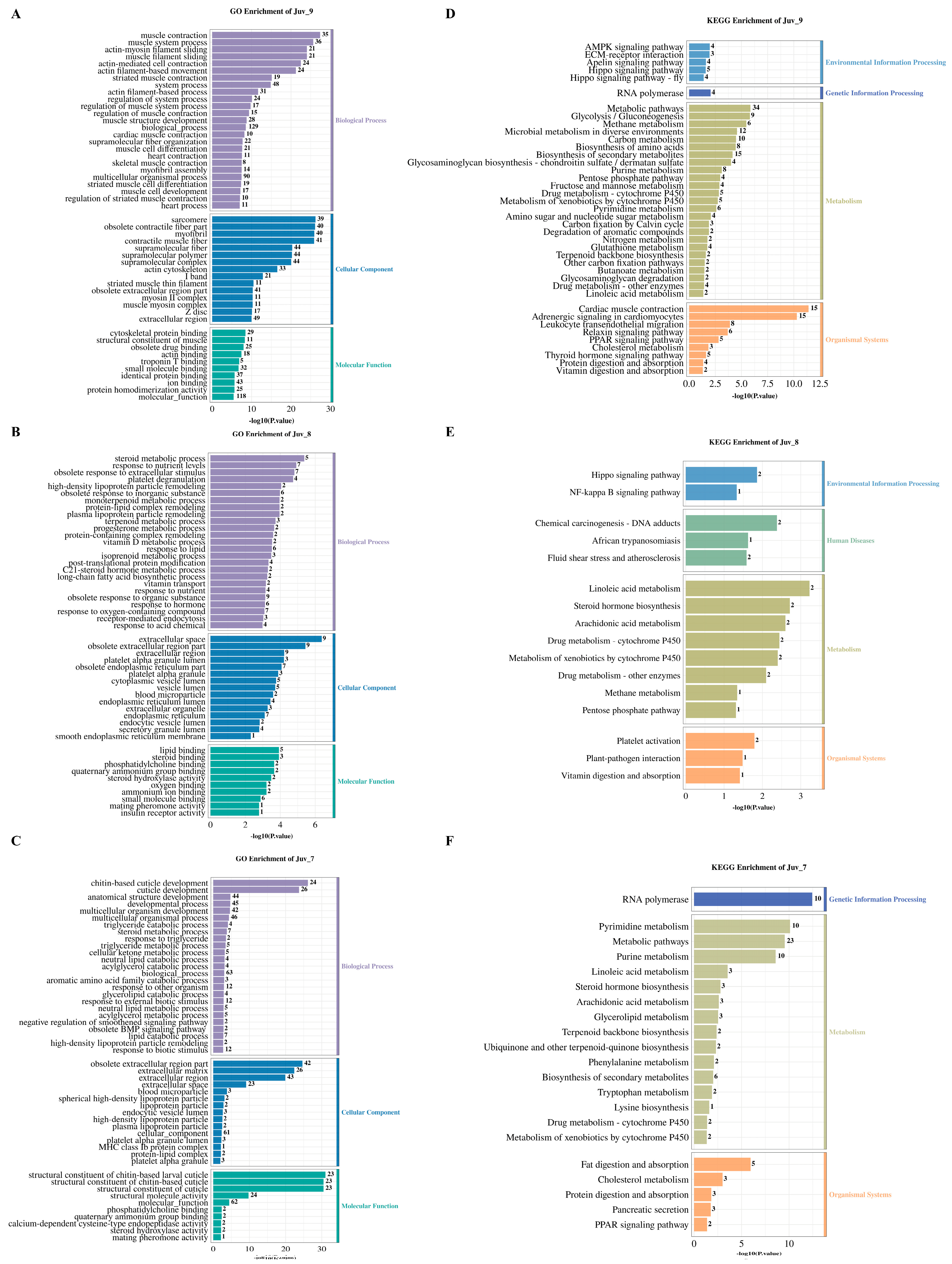 Antioxidants 14 00635 g003 Antioxidants 14 00635 g003