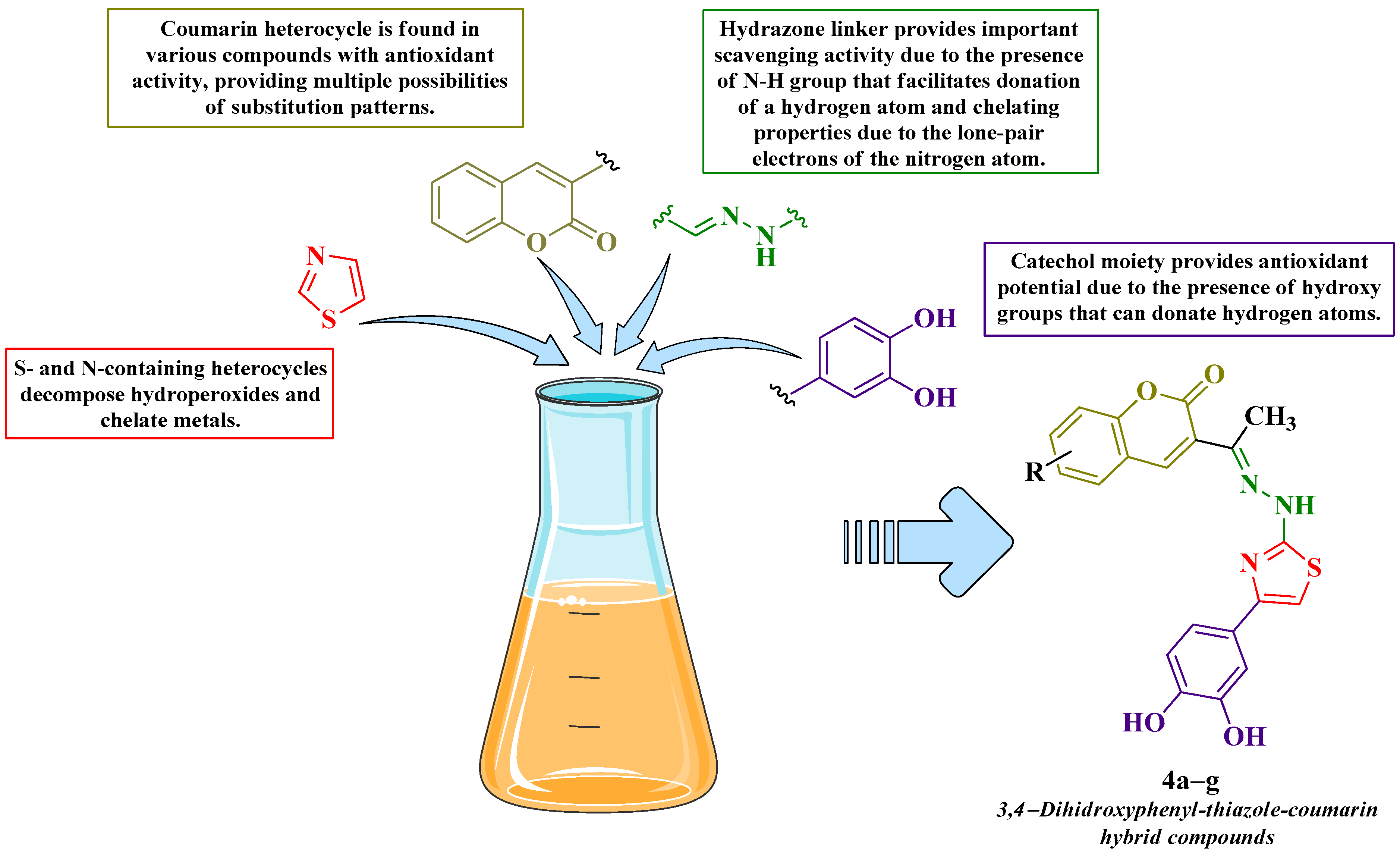 Antioxidants 14 00636 g001