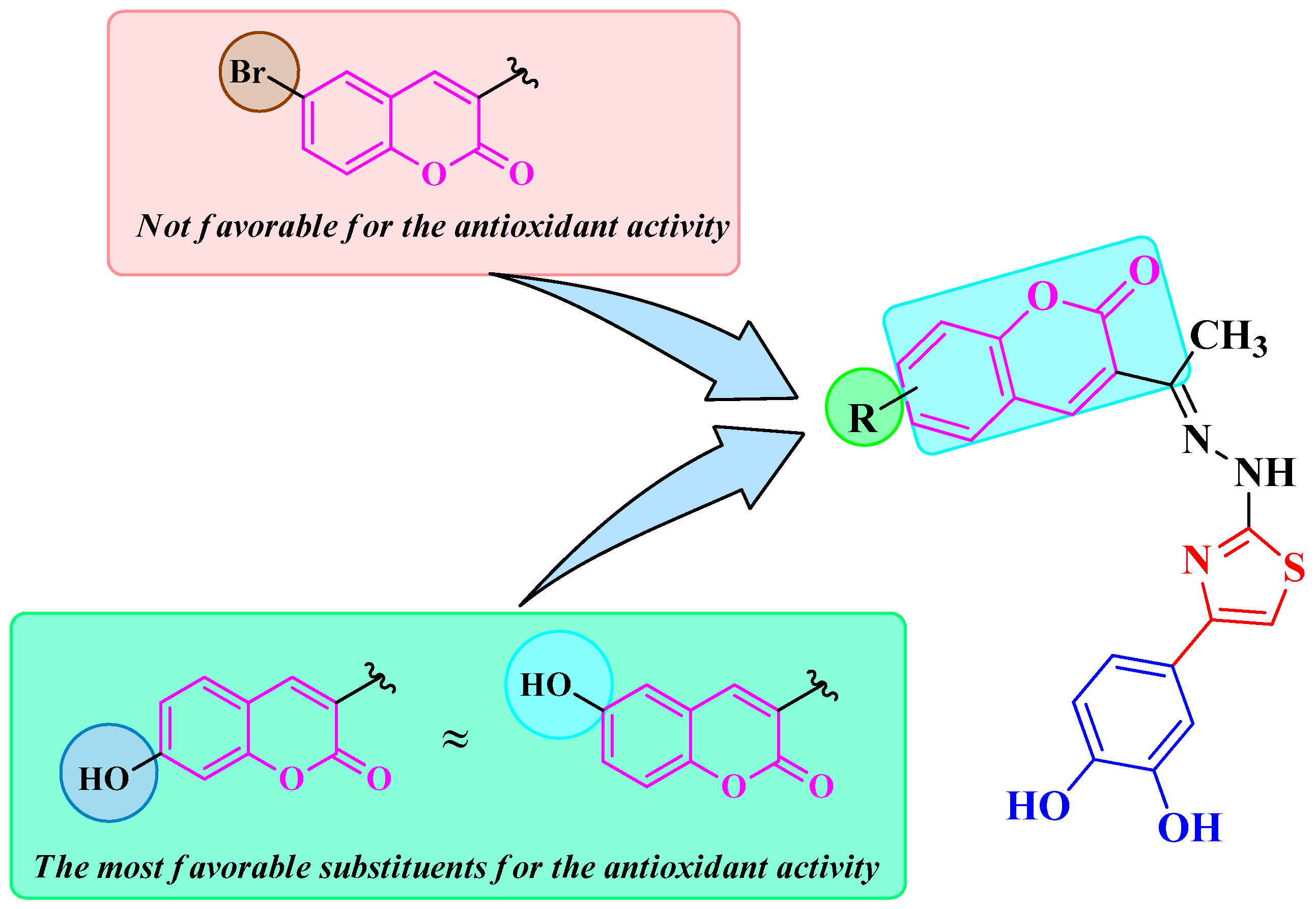 Antioxidants 14 00636 g003