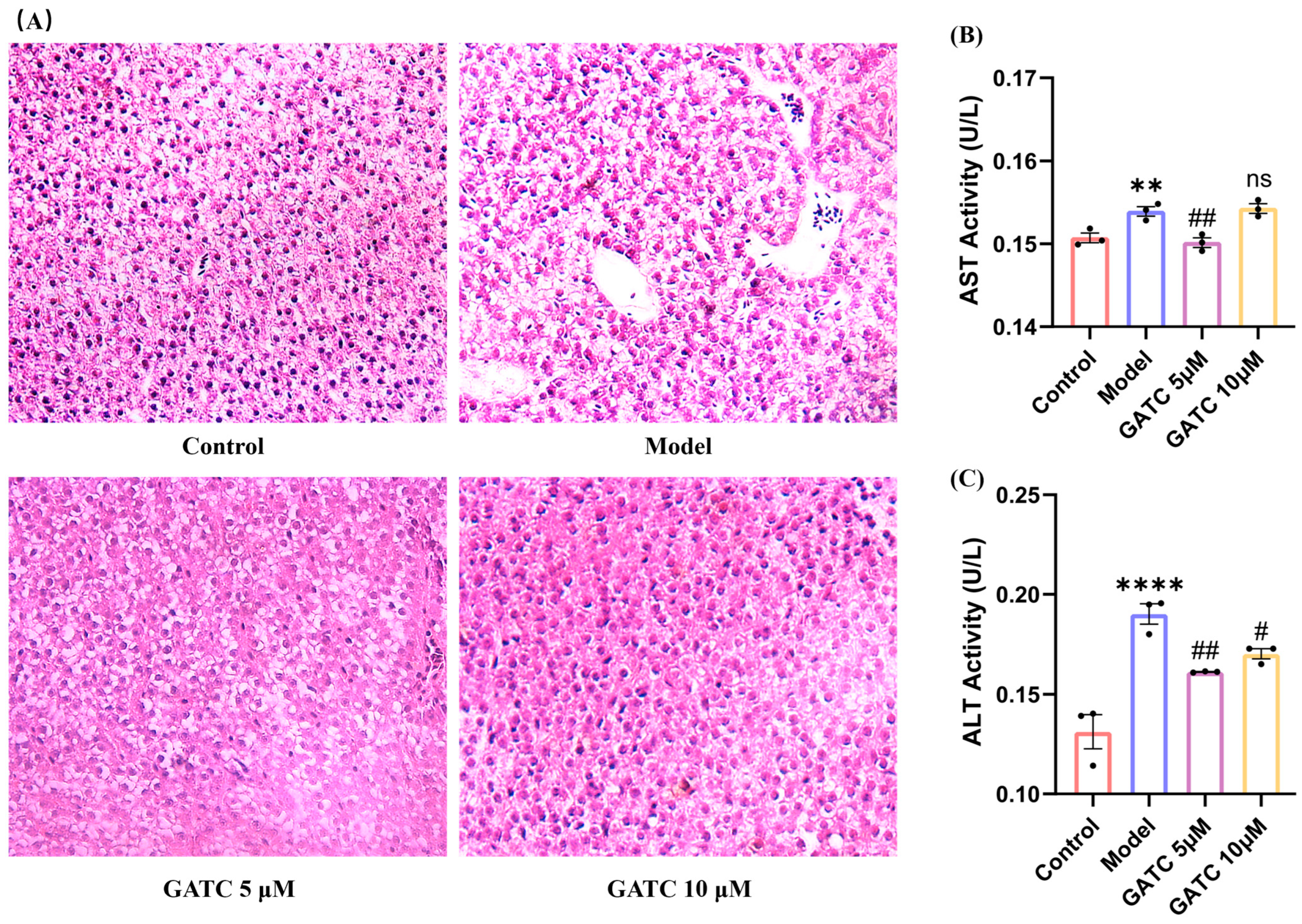 Antioxidants 14 00637 g003