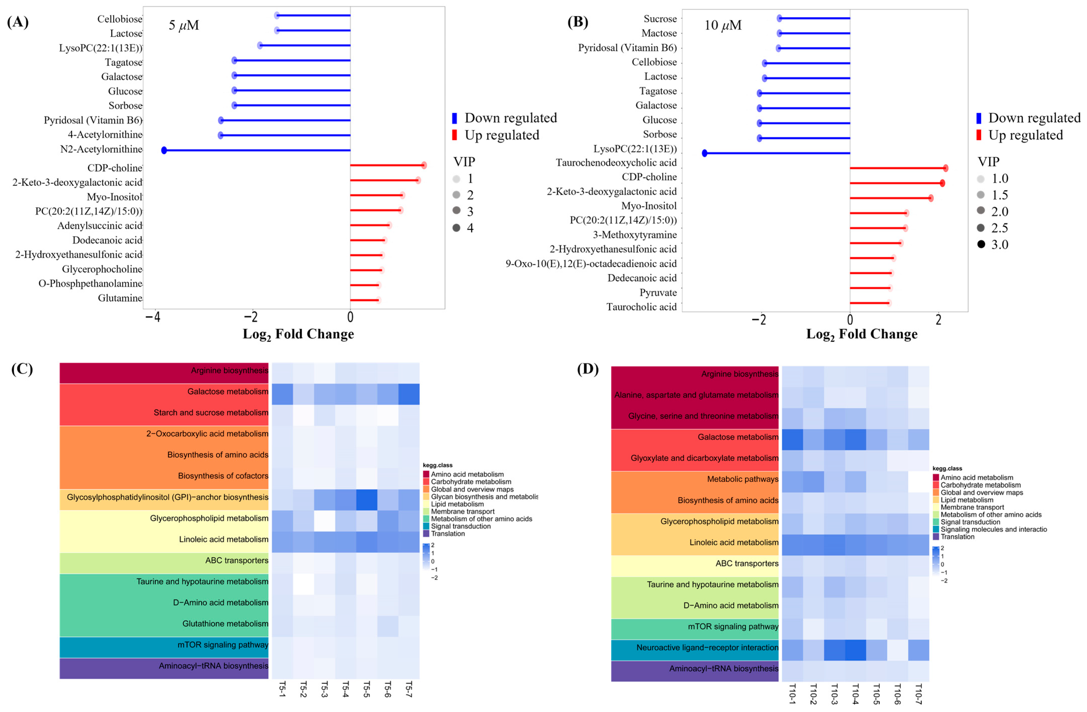 Antioxidants 14 00637 g006