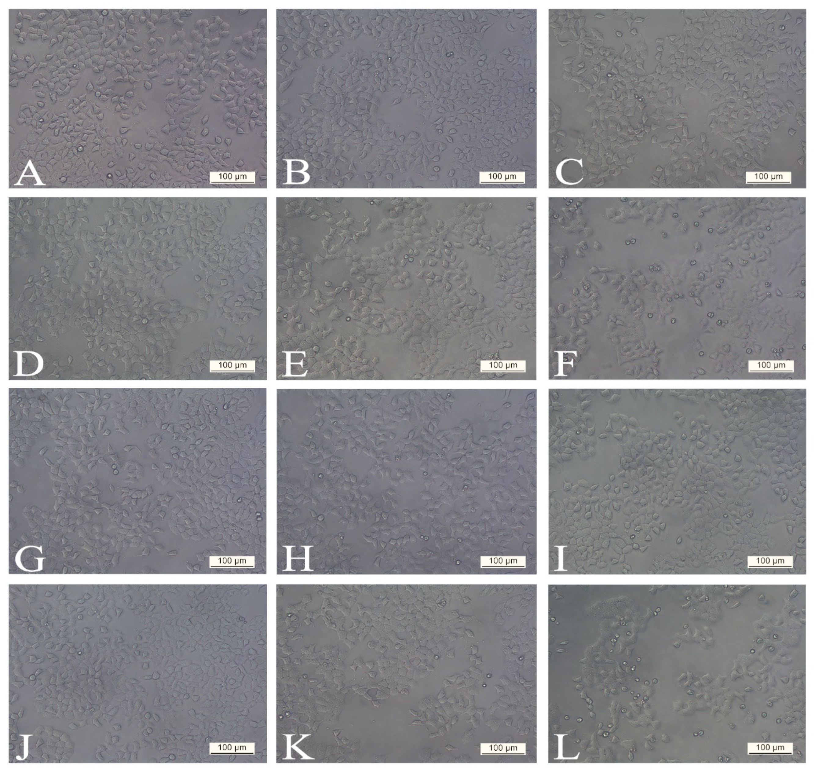 Antioxidants 14 00638 g003 Antioxidants 14 00638 g003