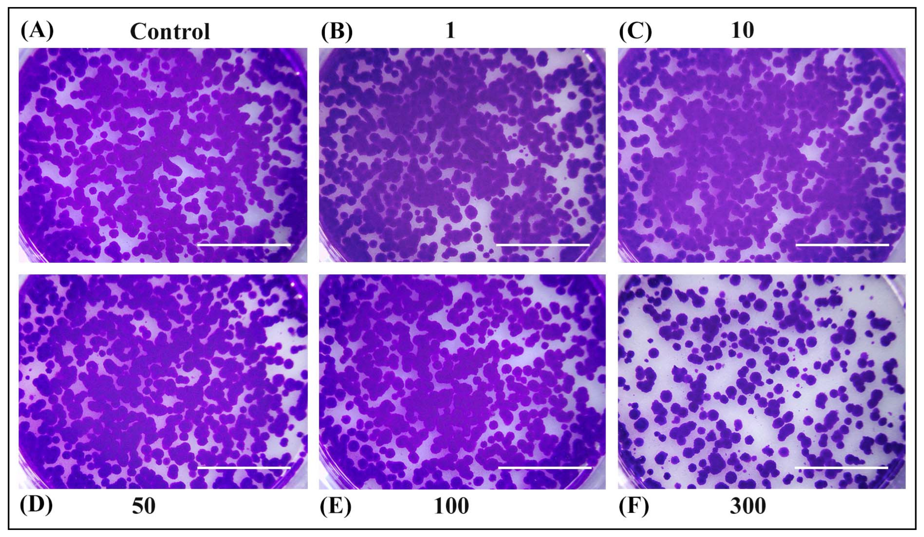 Antioxidants 14 00638 g004 Antioxidants 14 00638 g004