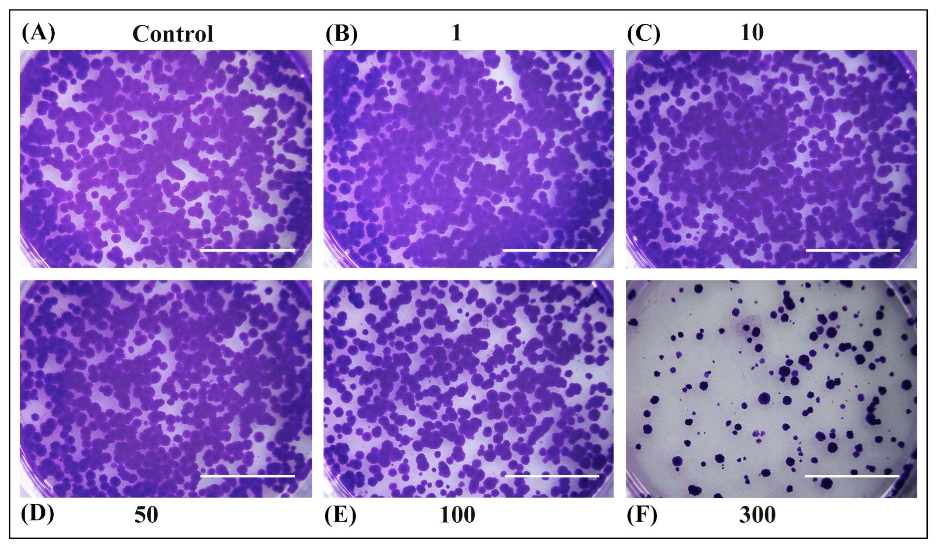 Antioxidants 14 00638 g005 Antioxidants 14 00638 g005