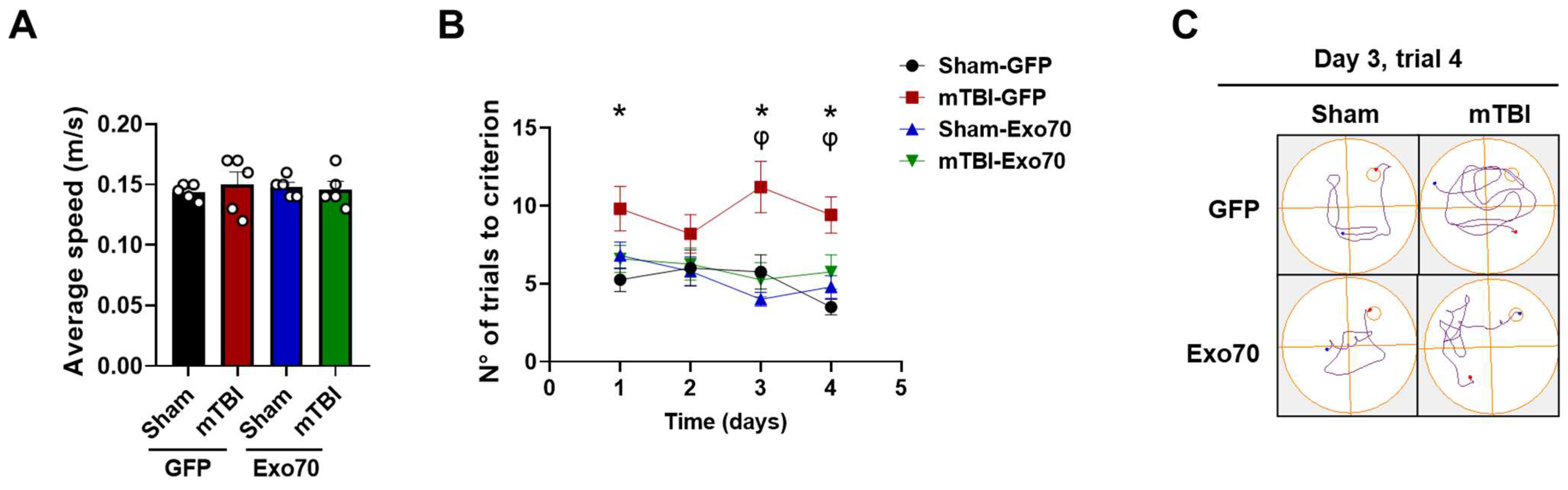 Antioxidants 14 00640 g002 Antioxidants 14 00640 g002