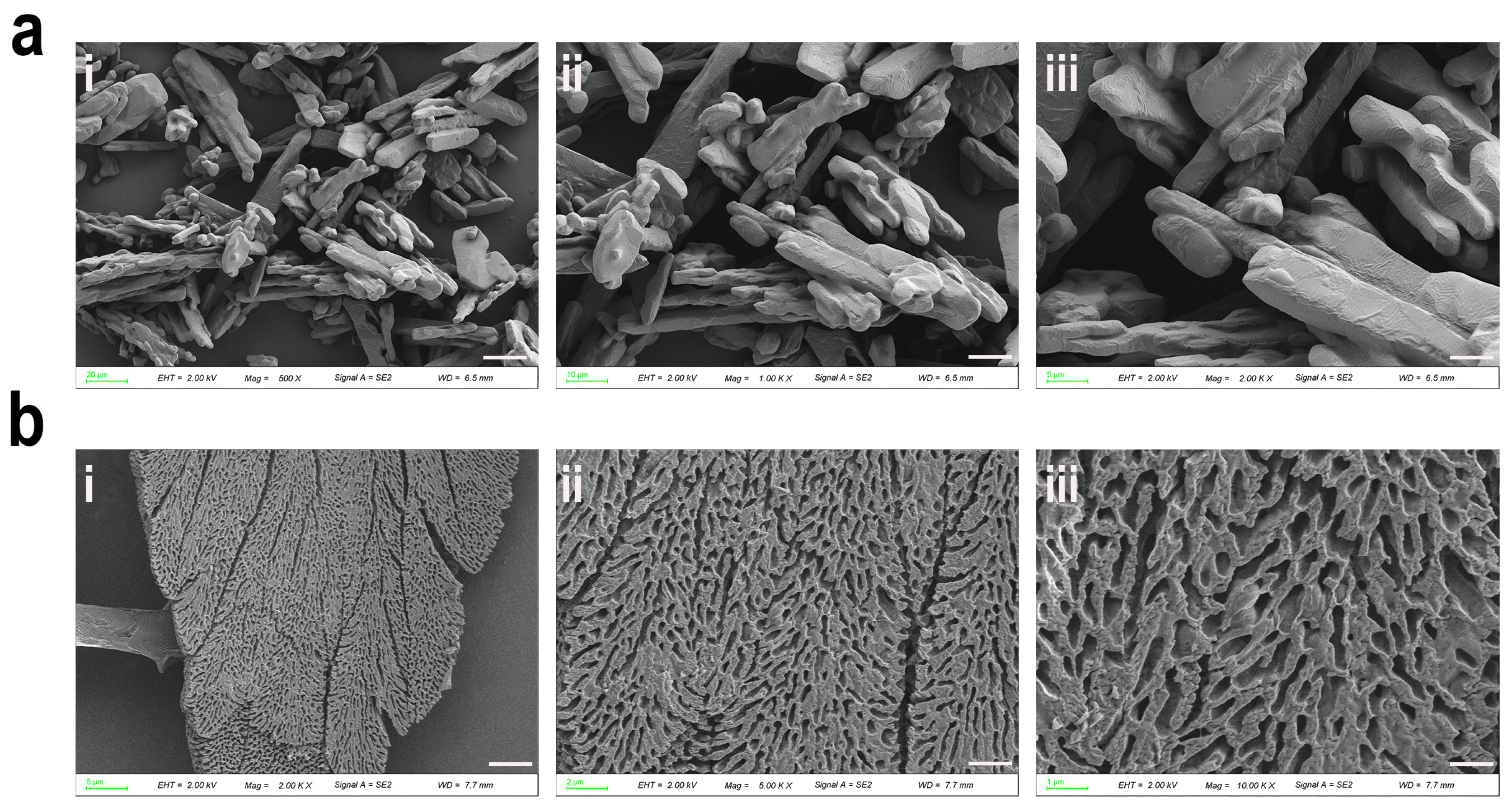 Antioxidants 14 00644 g005 Antioxidants 14 00644 g005