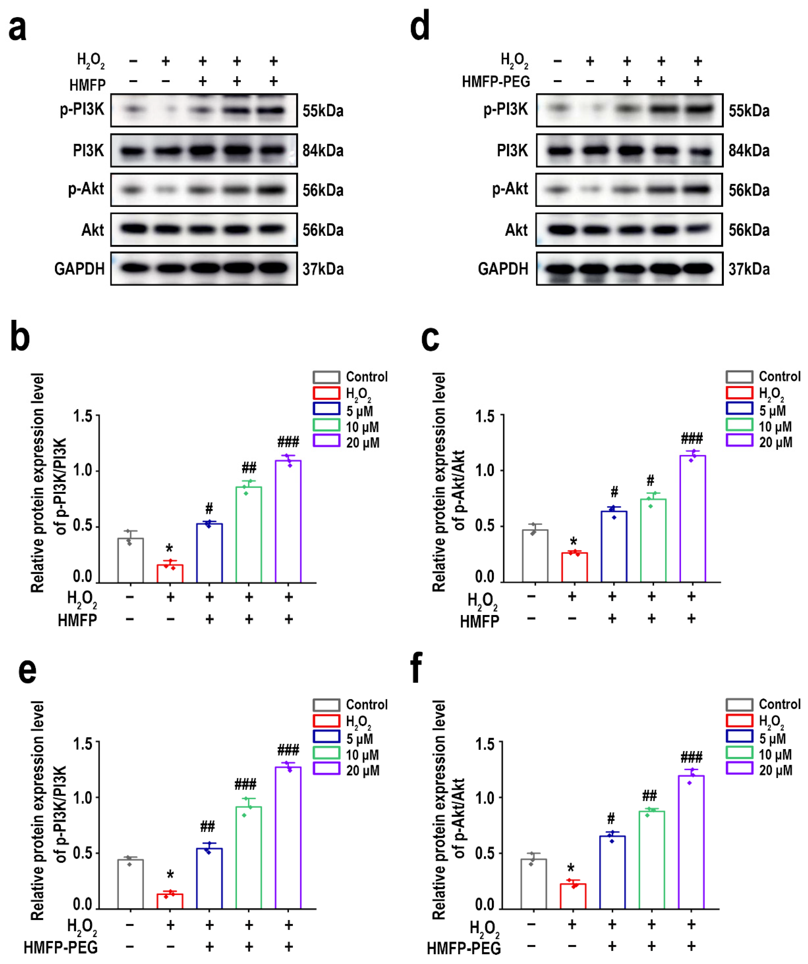 Antioxidants 14 00644 g010 Antioxidants 14 00644 g010