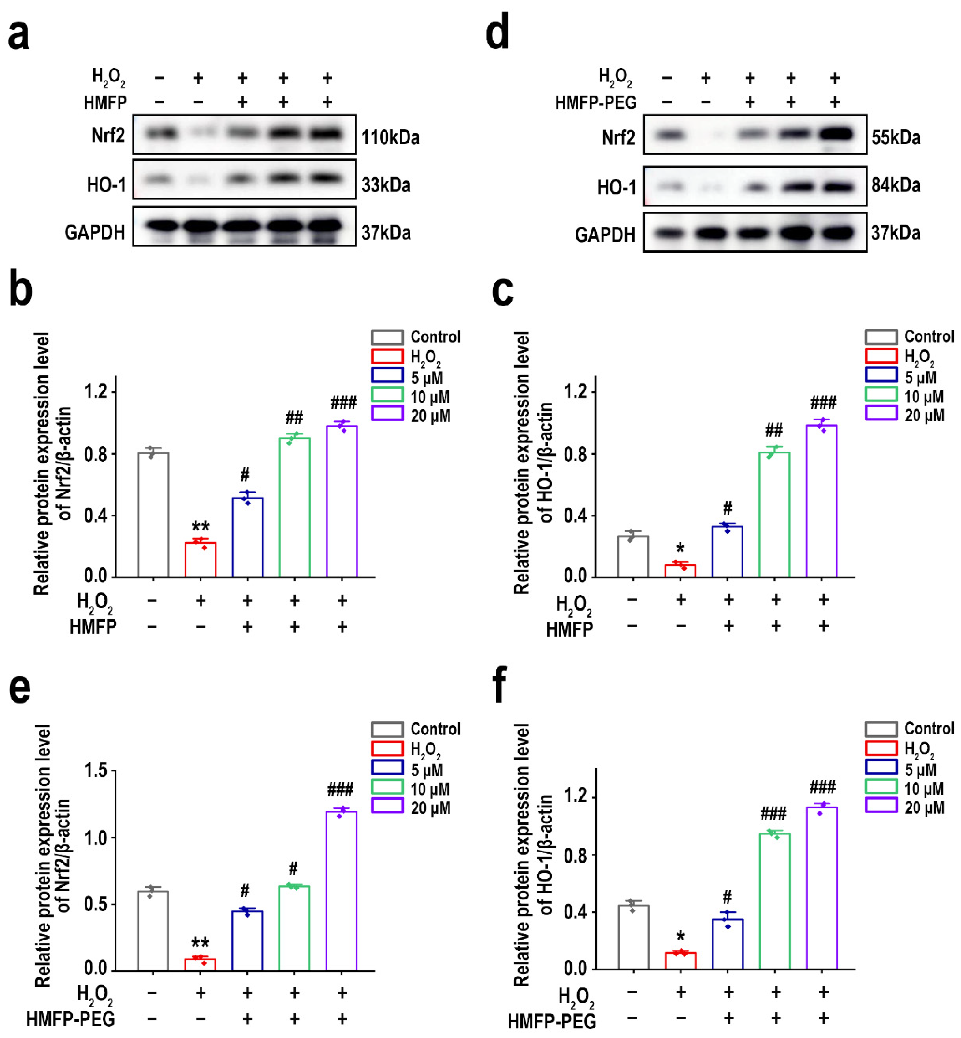 Antioxidants 14 00644 g011 Antioxidants 14 00644 g011