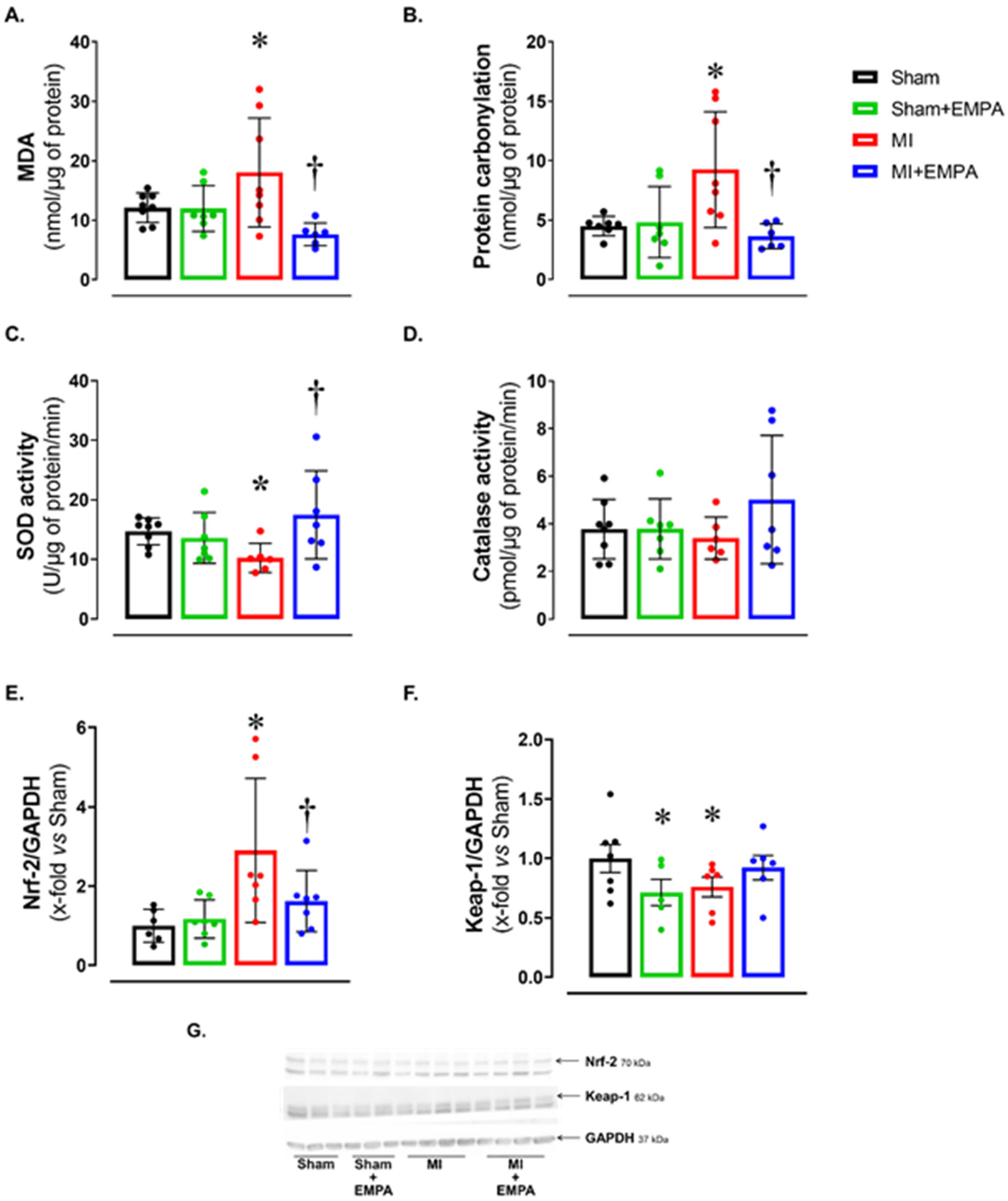 Antioxidants 14 00647 g002
