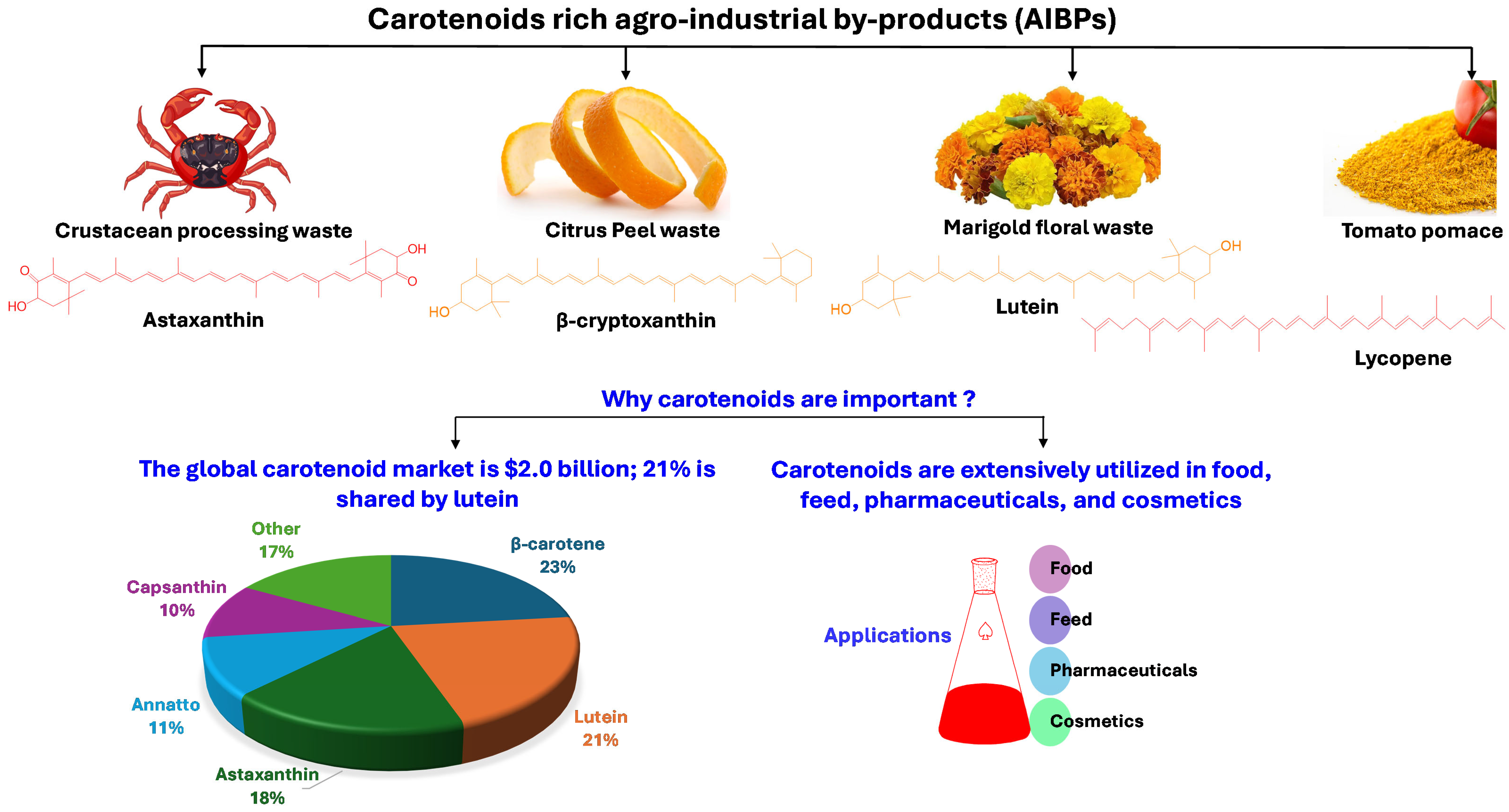 Antioxidants 14 00650 g001