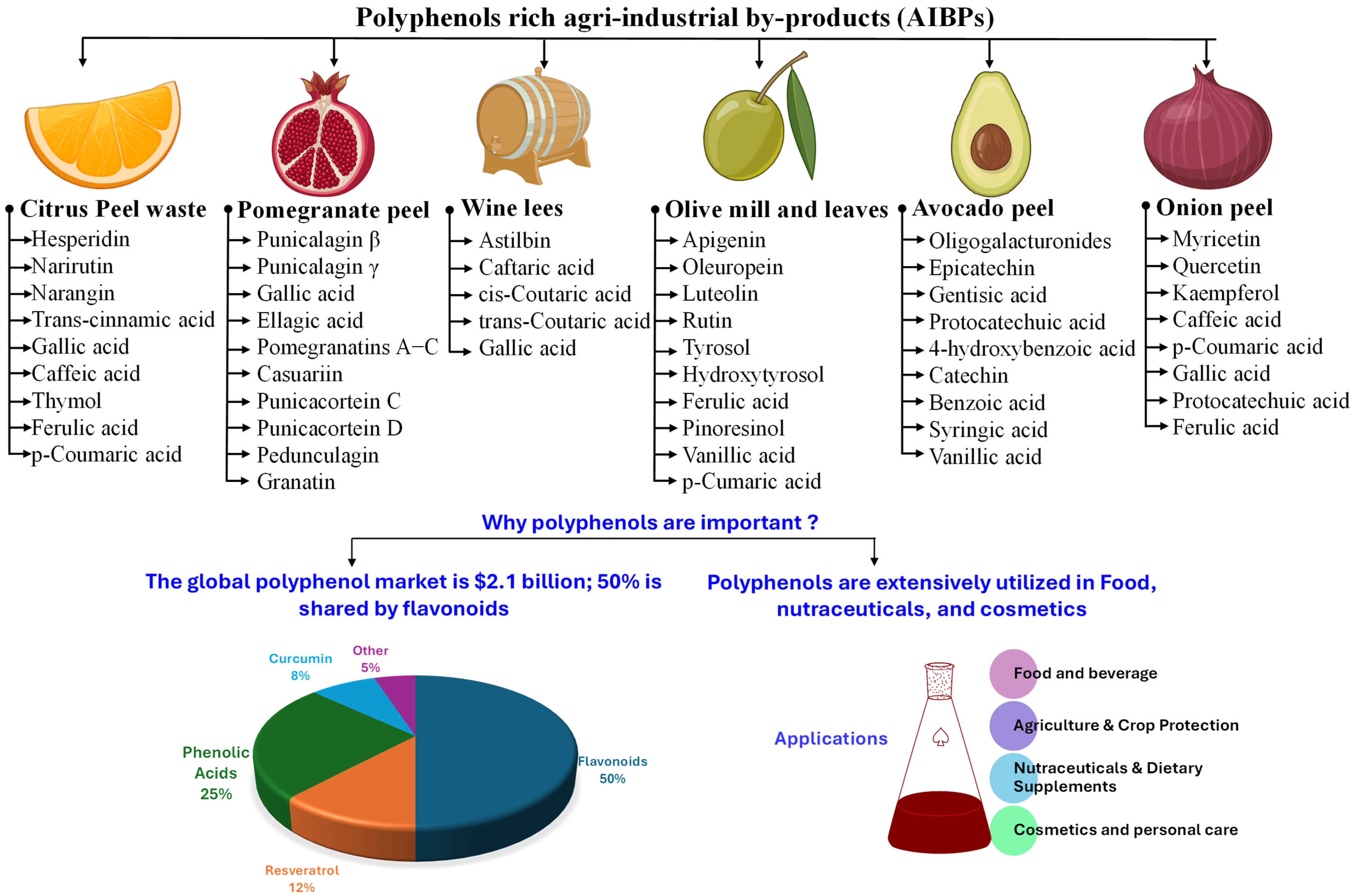 Antioxidants 14 00650 g002