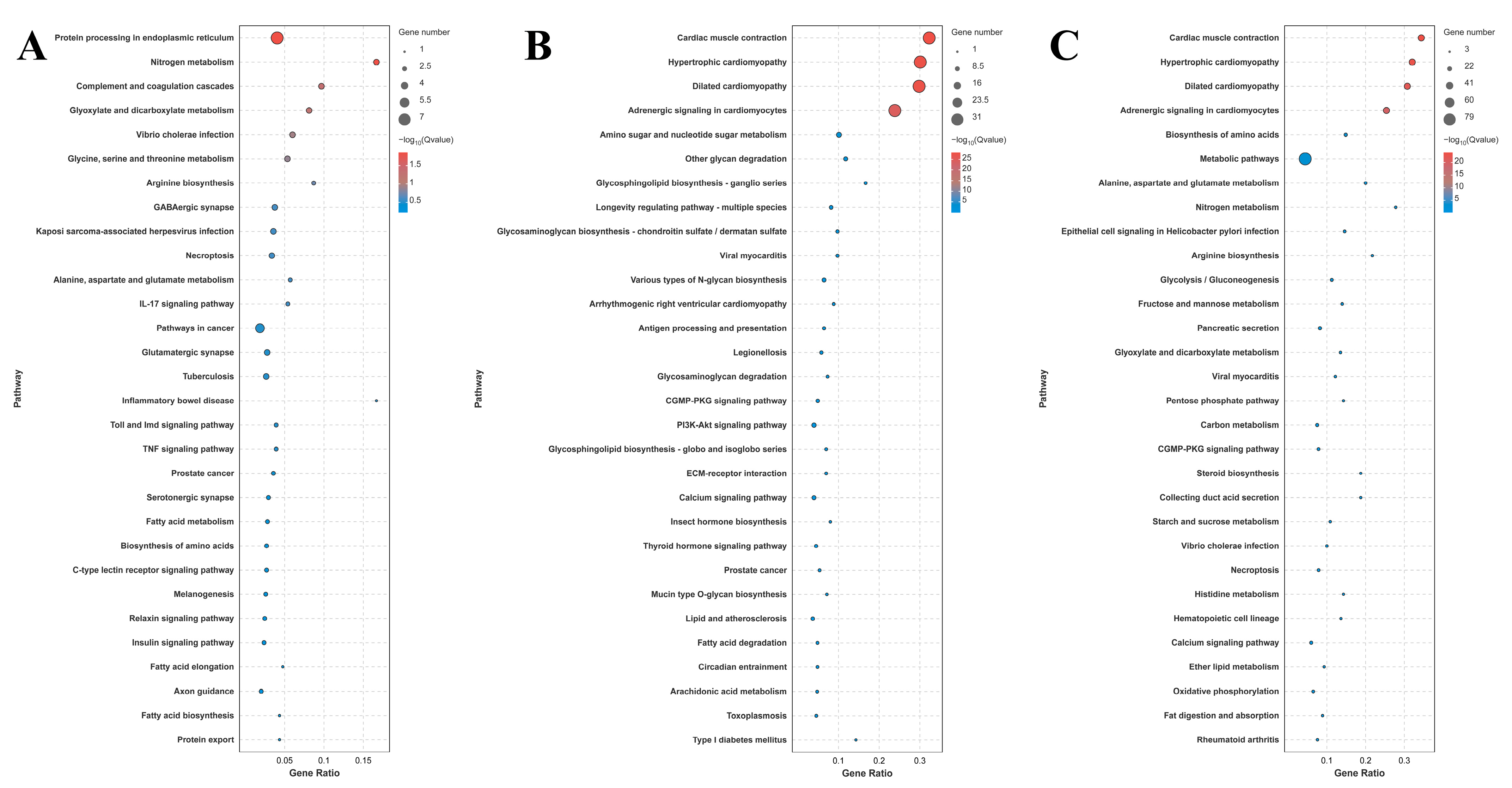 Antioxidants 14 00655 g004