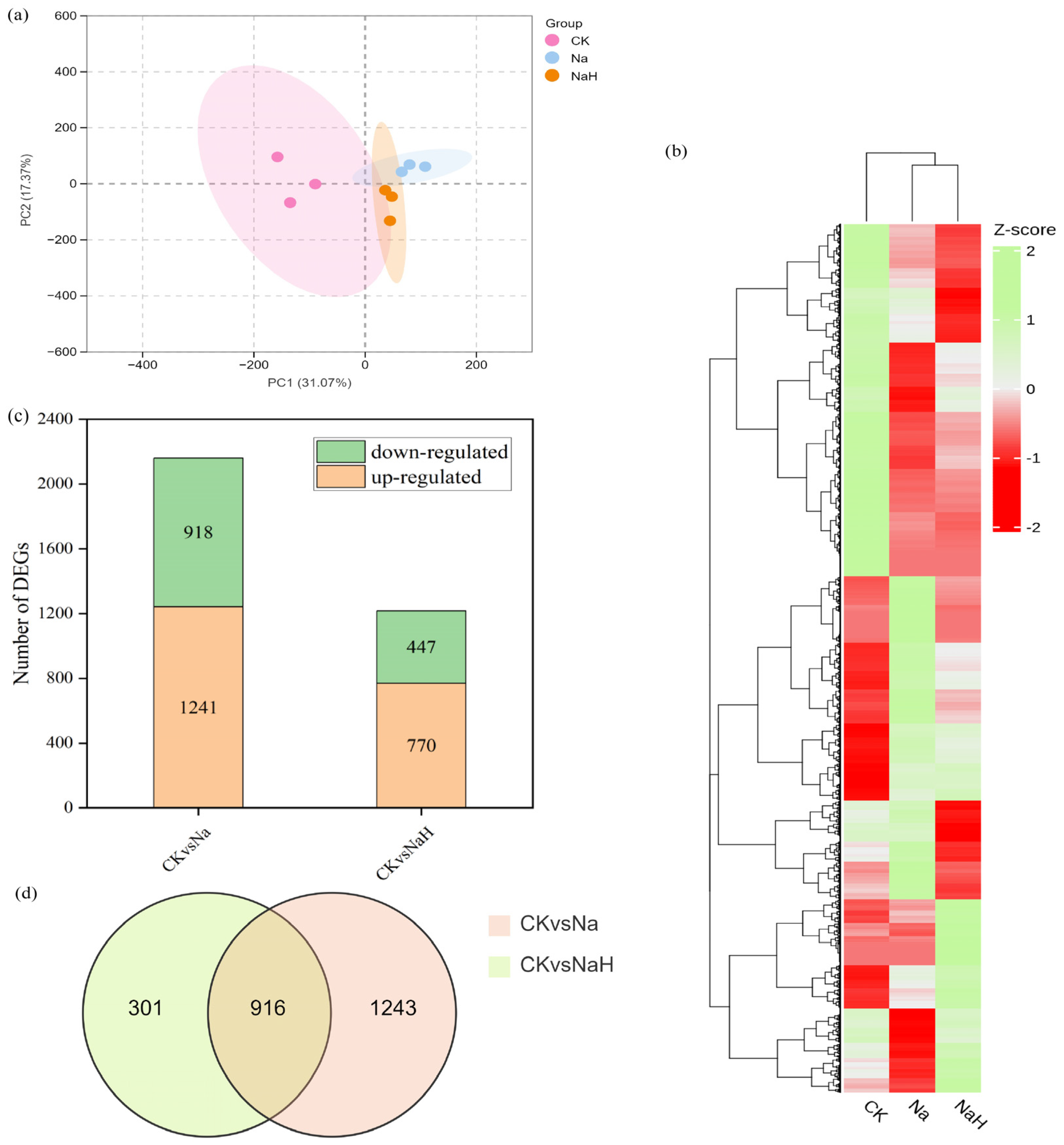 Antioxidants 14 00658 g003